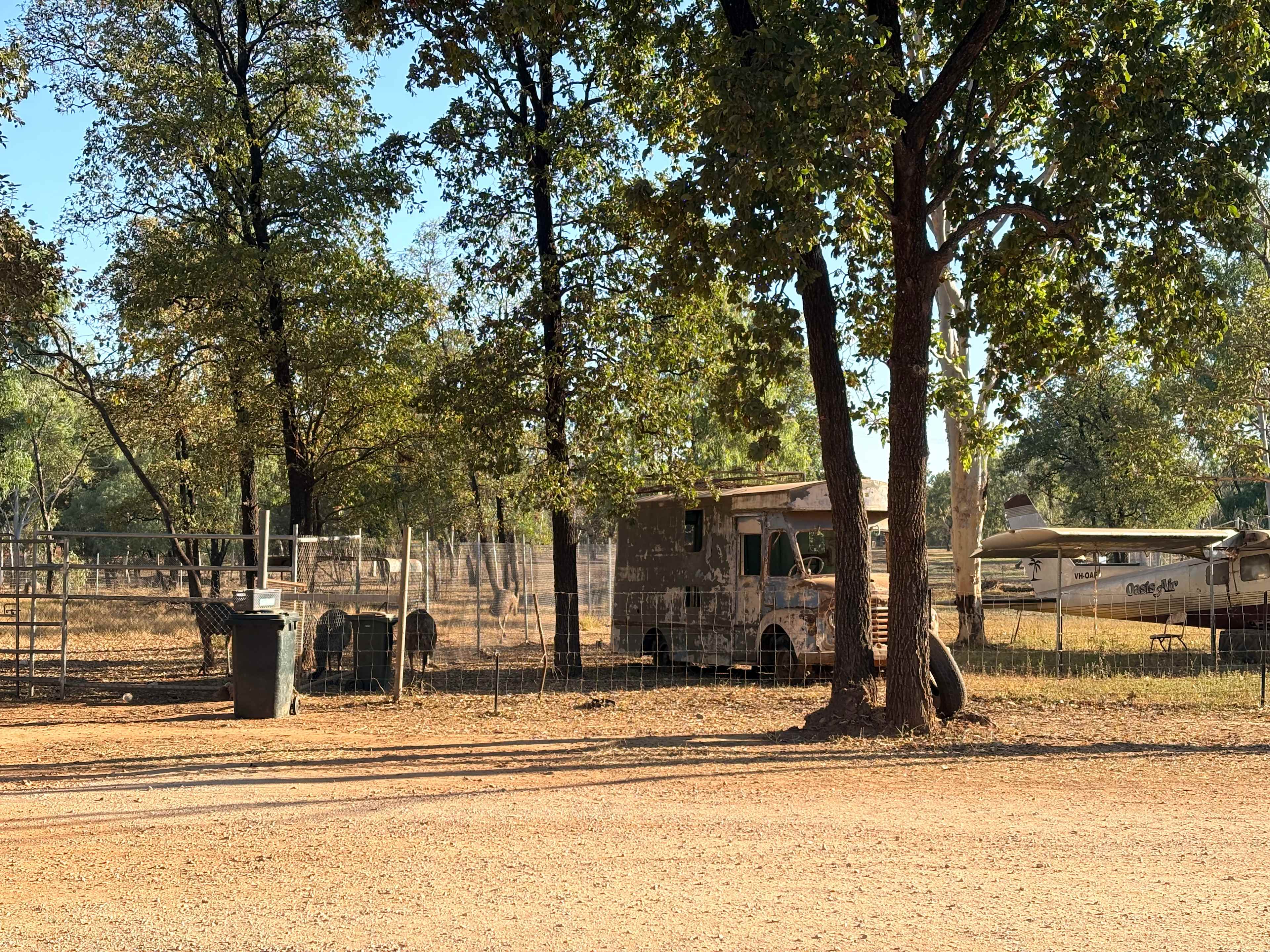 Emu paddock