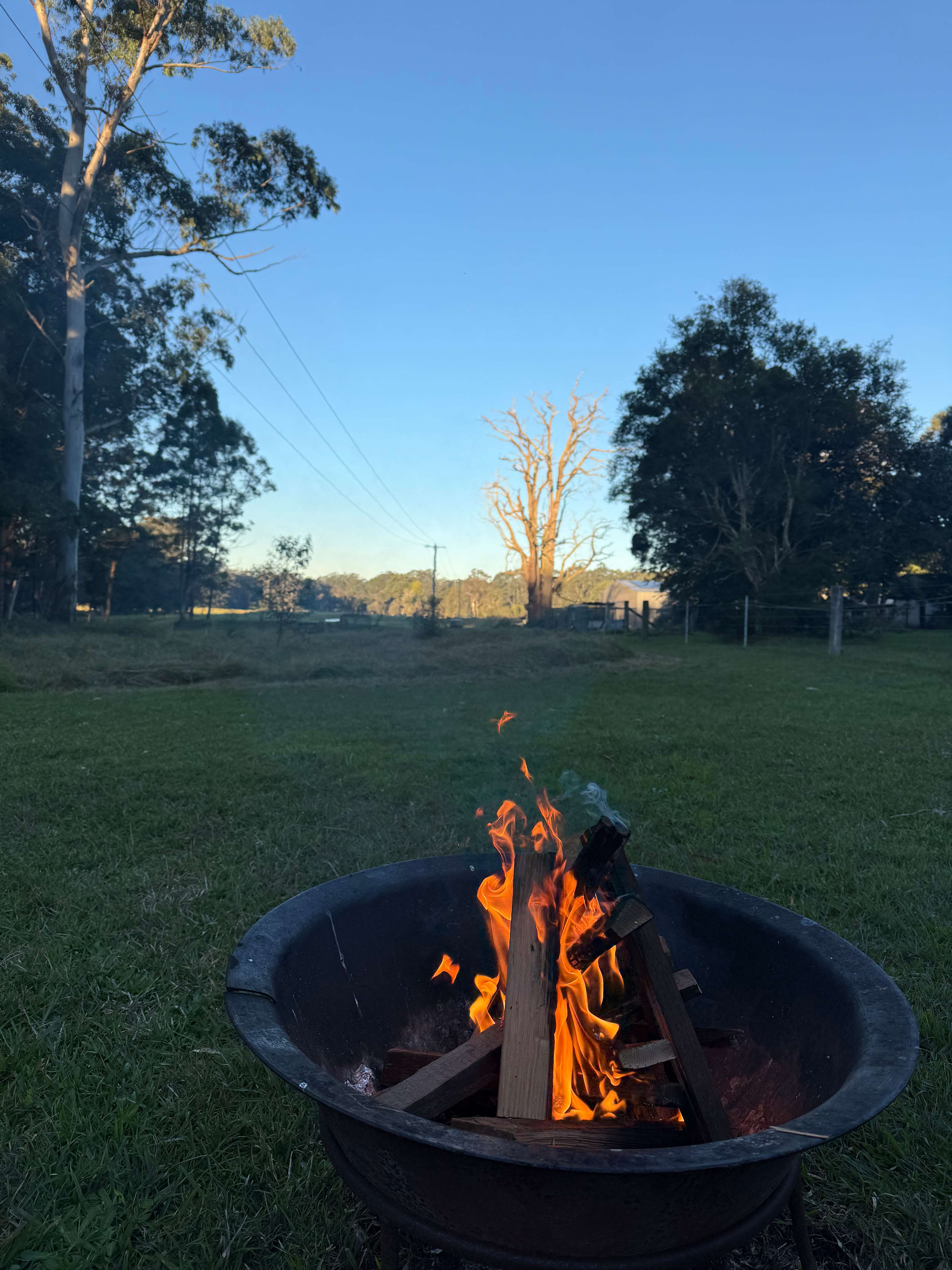 Bunyip's Camp