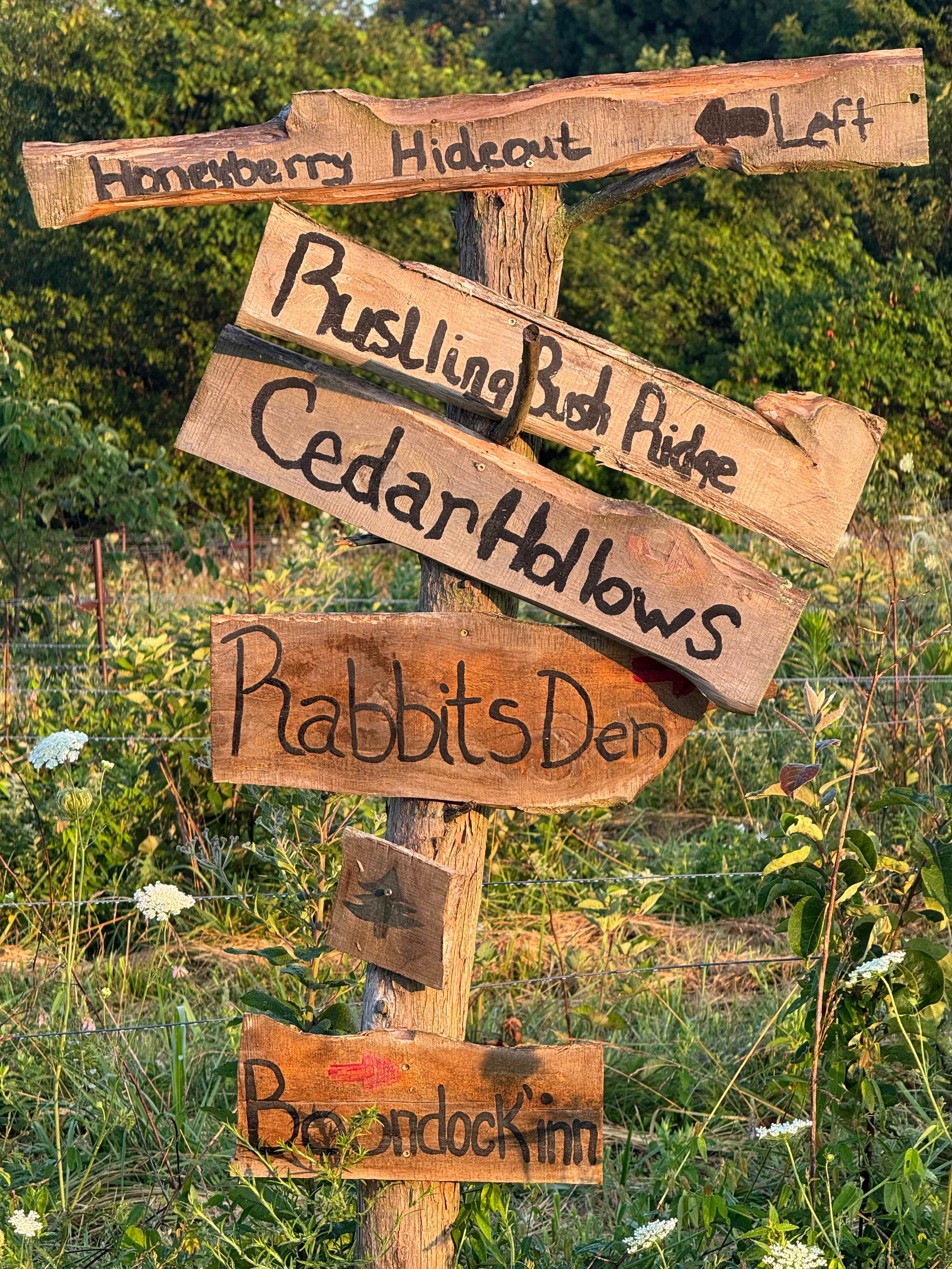 B Berry Farms & Co.