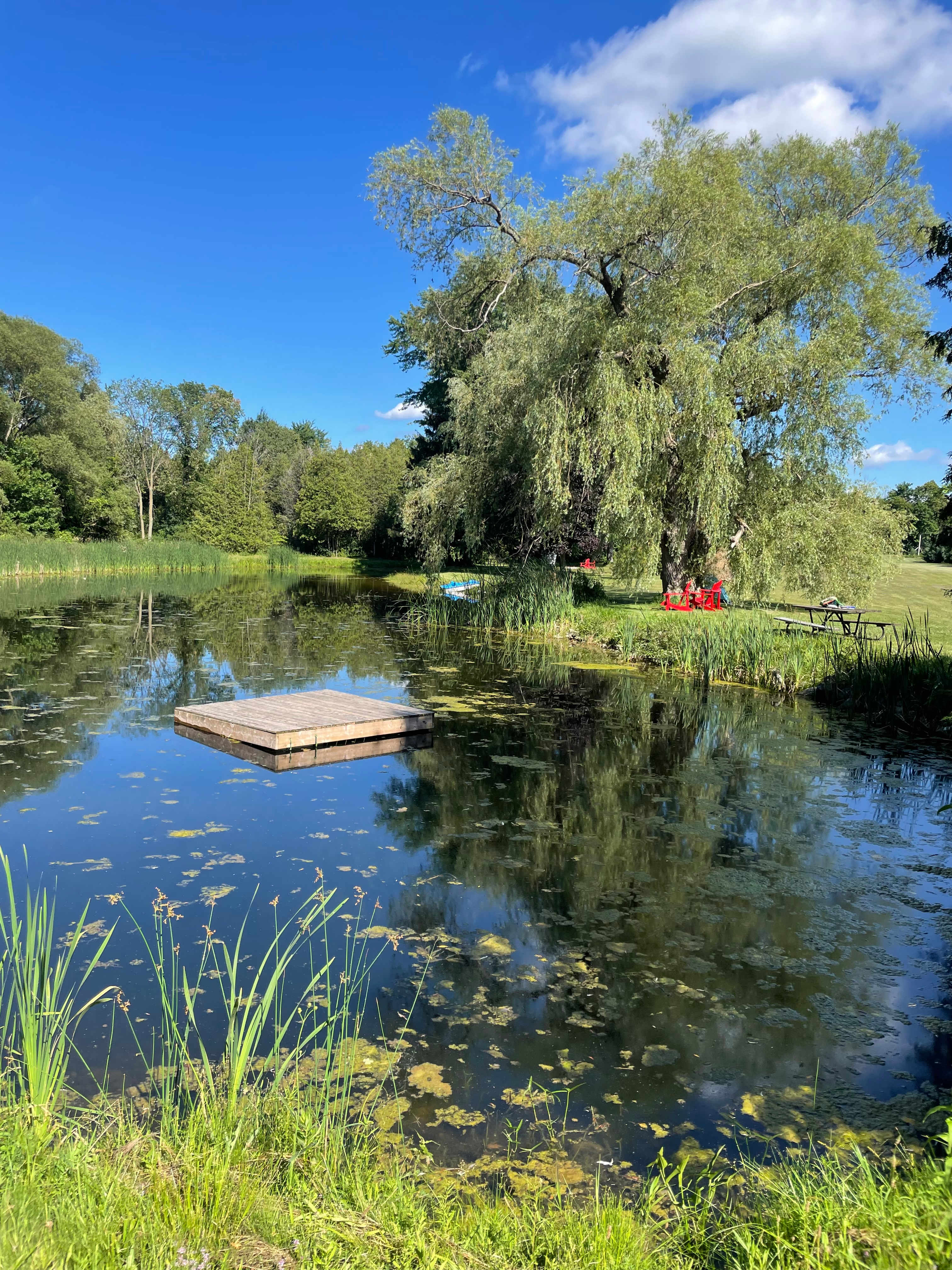 Hidden Oasis Near Elora