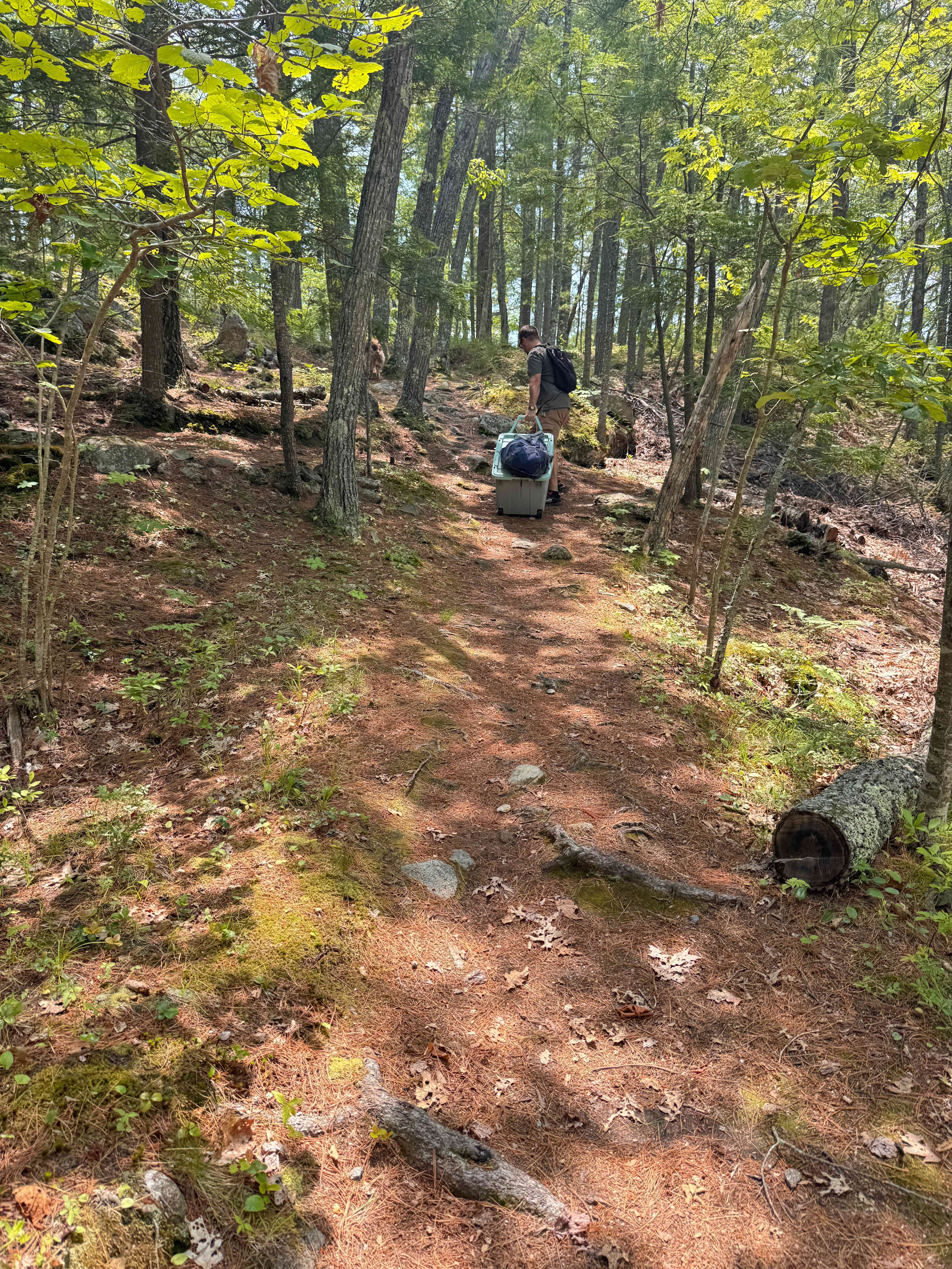 Hockomock Island