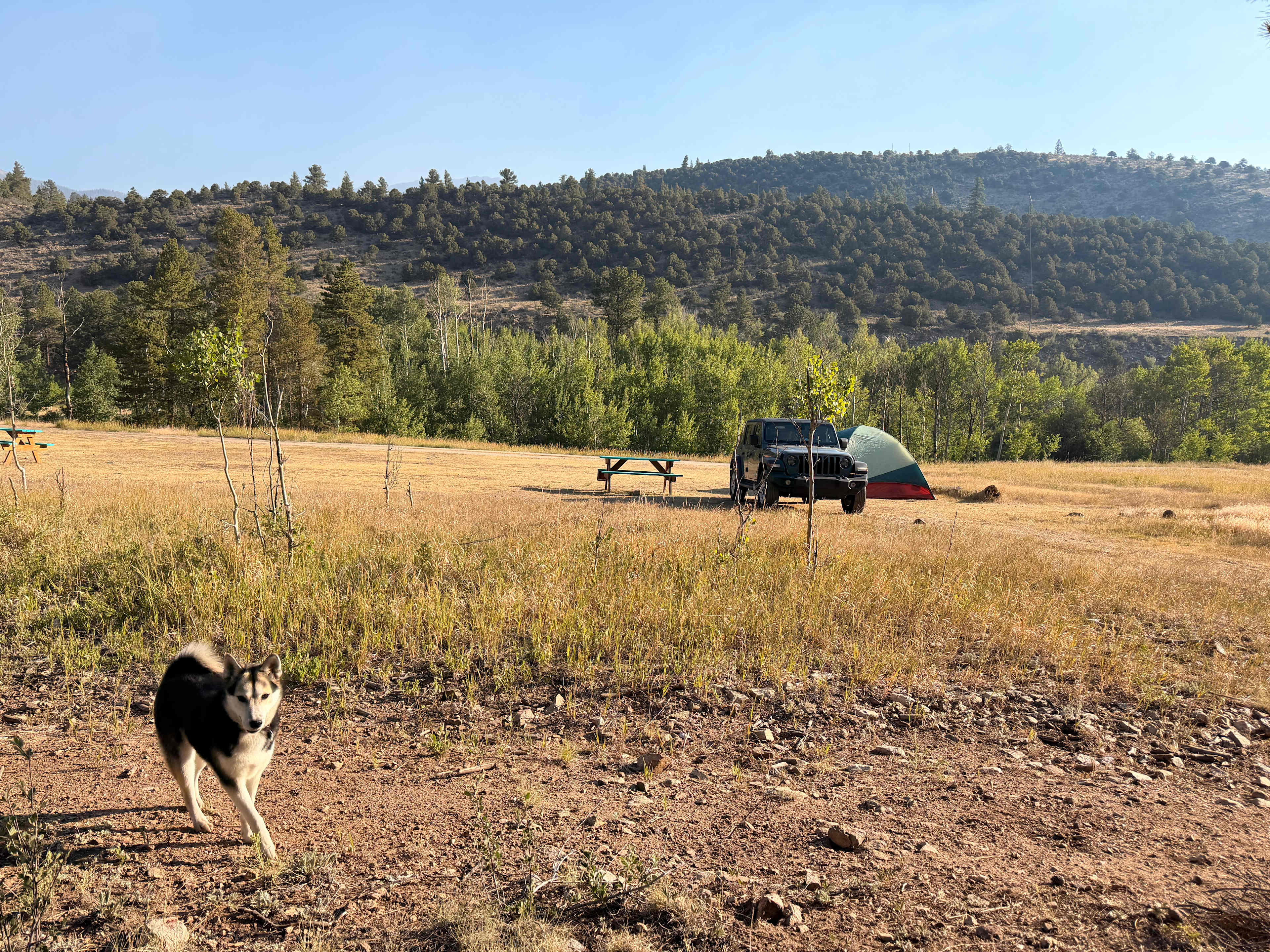 Picture of the site