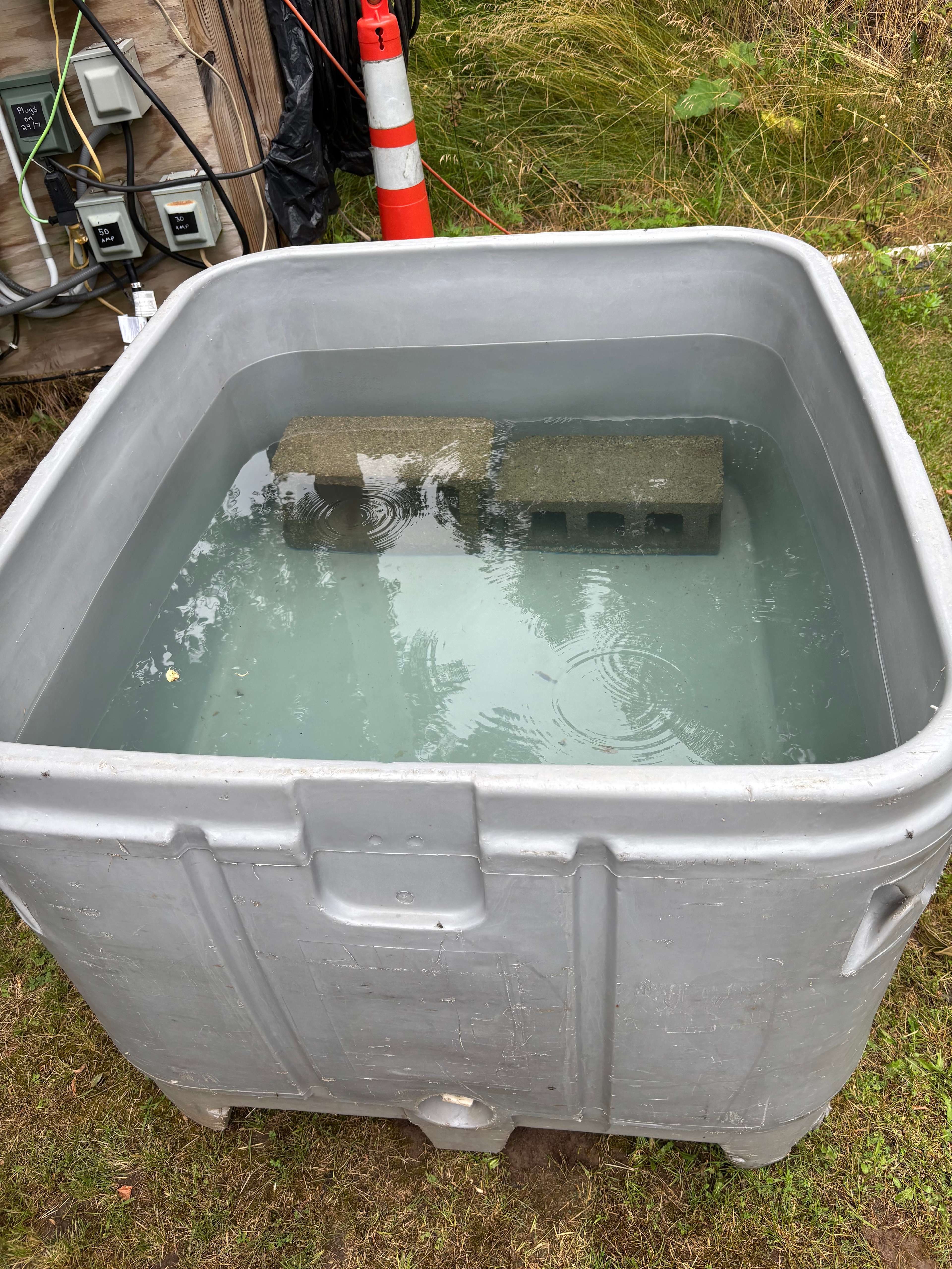 Great pool