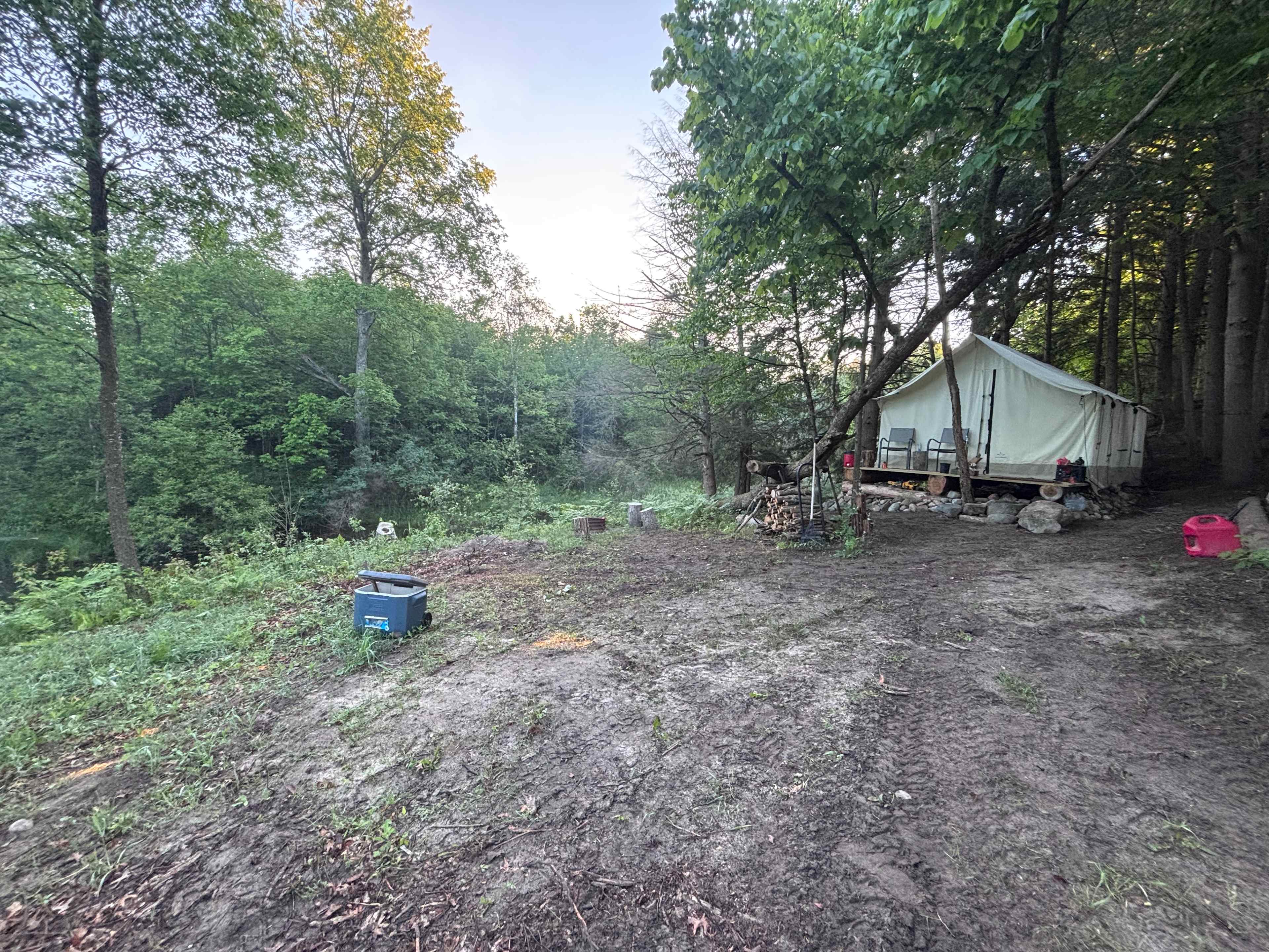 Picture of the site