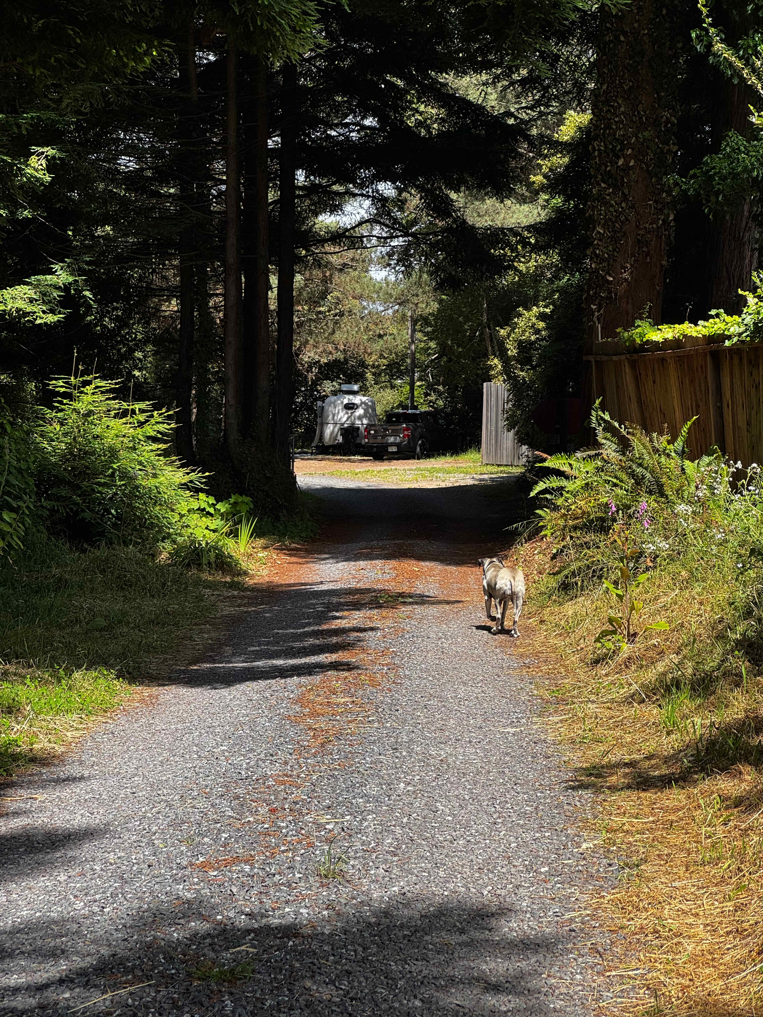 Meadow Farm & Forest