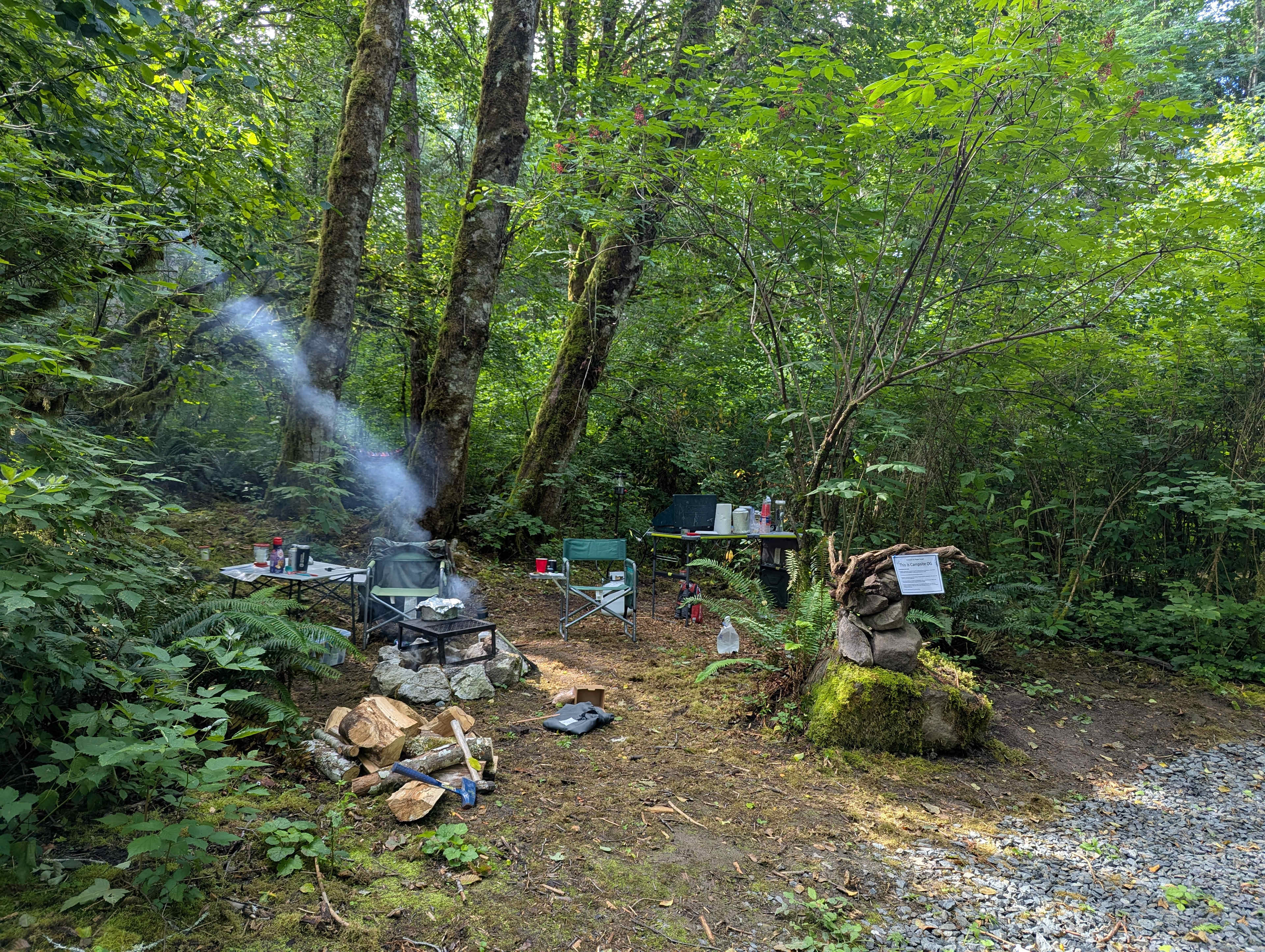 Hippie Forest