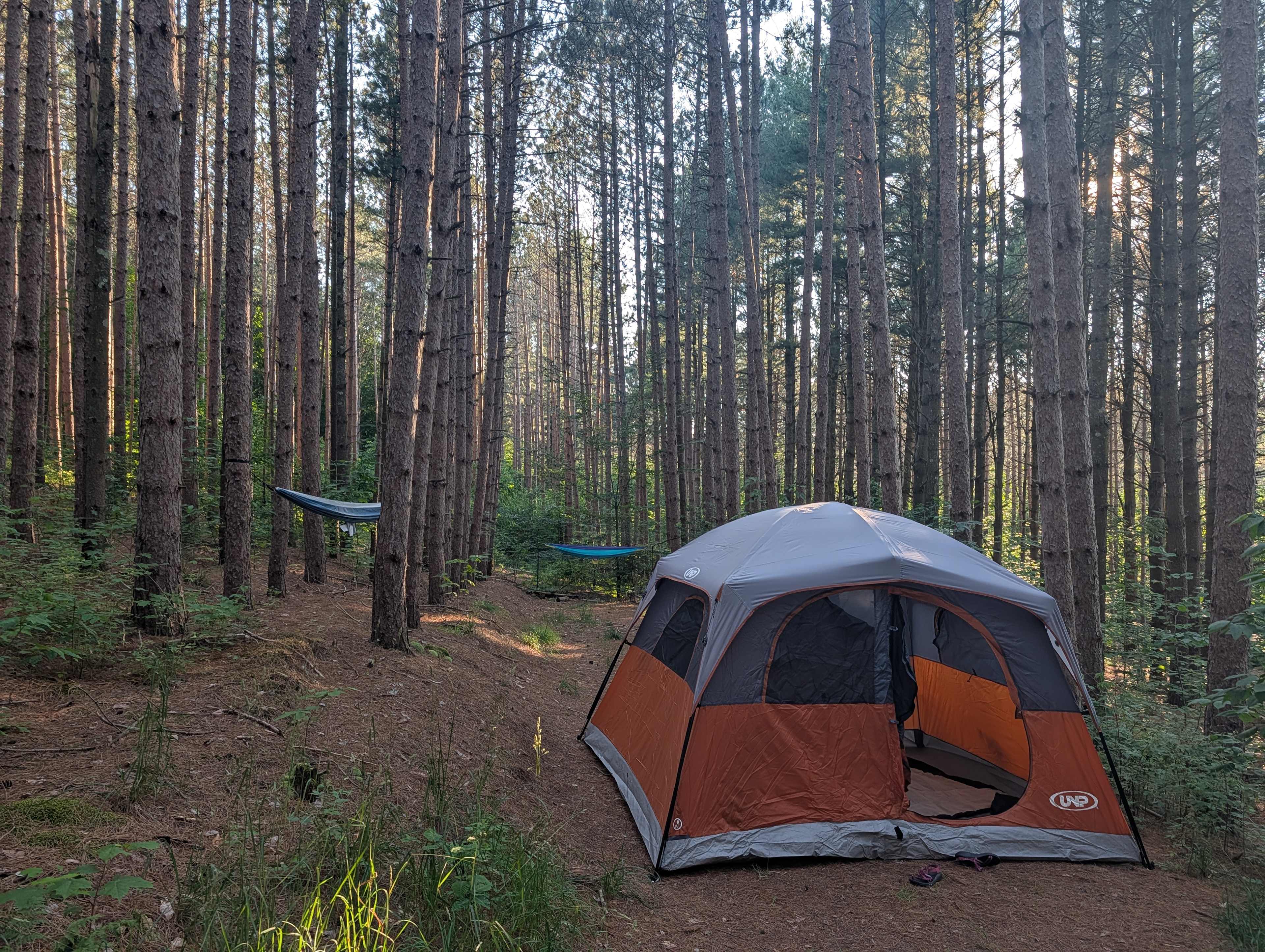 Camp Moonshadow