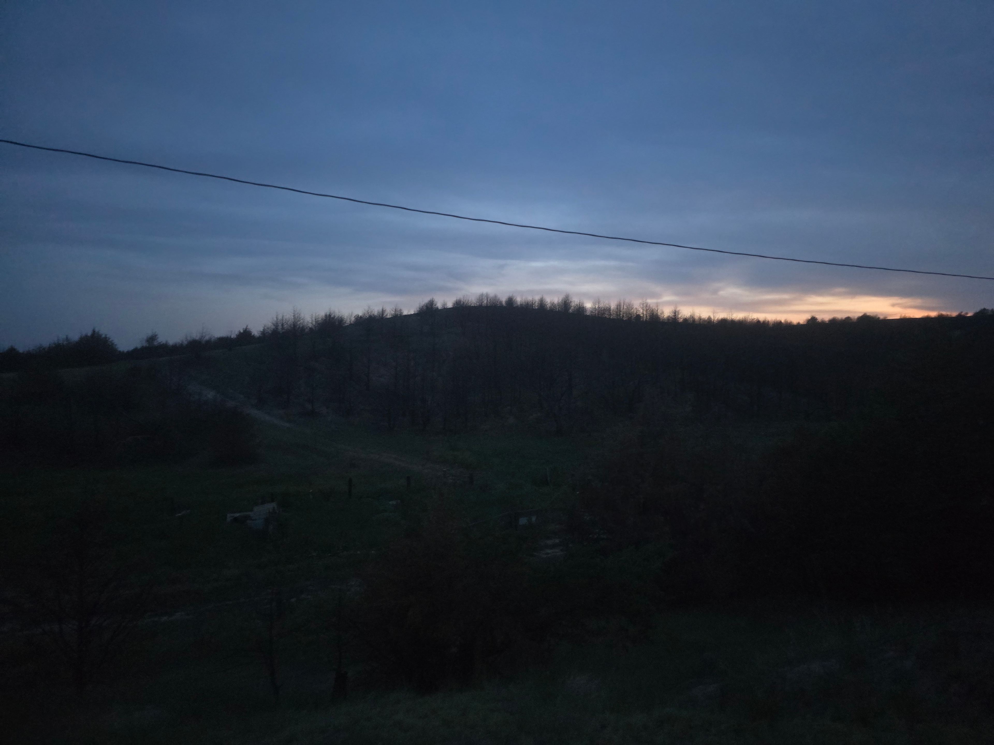 Potters Pasture