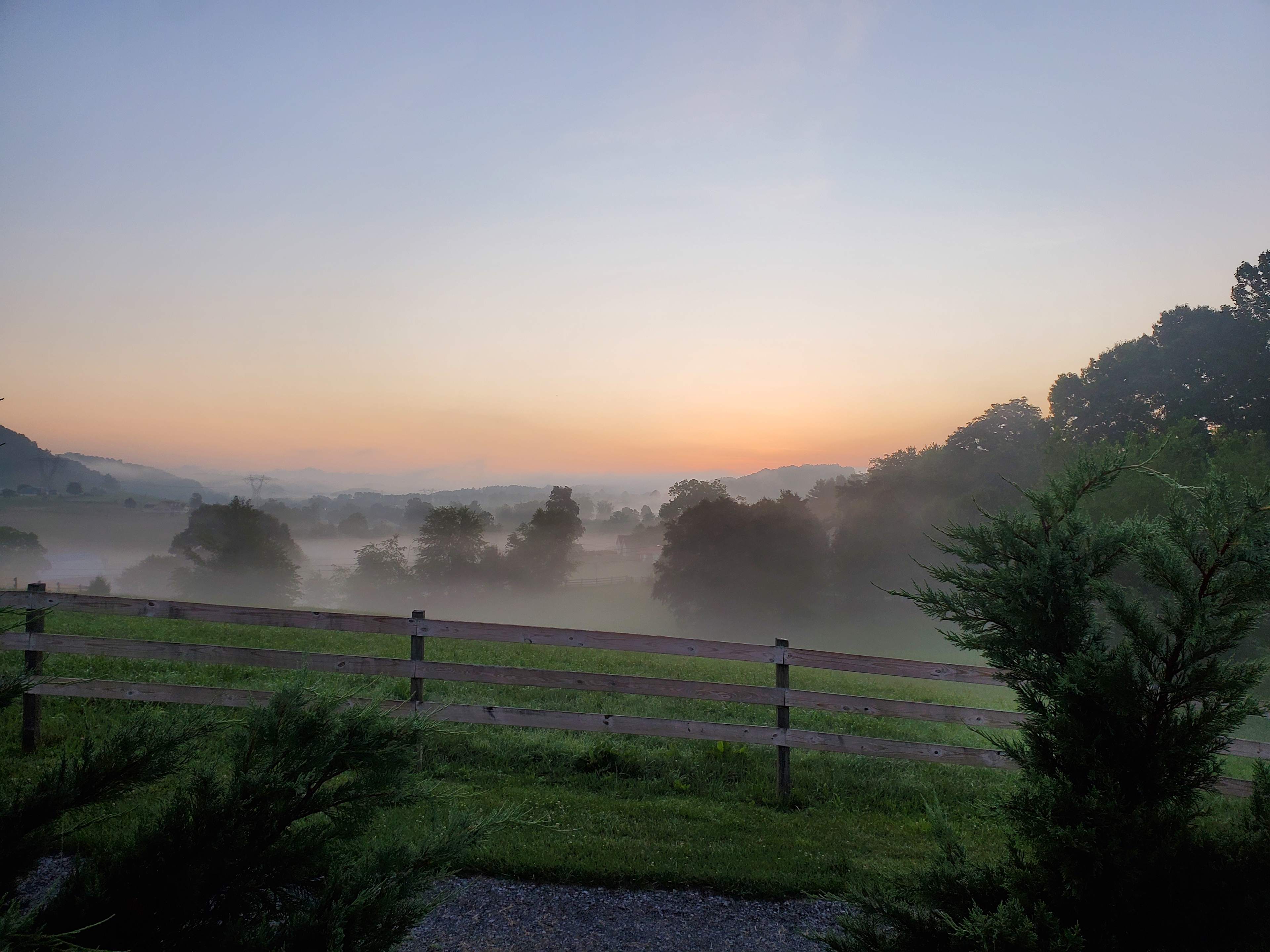 Dawn