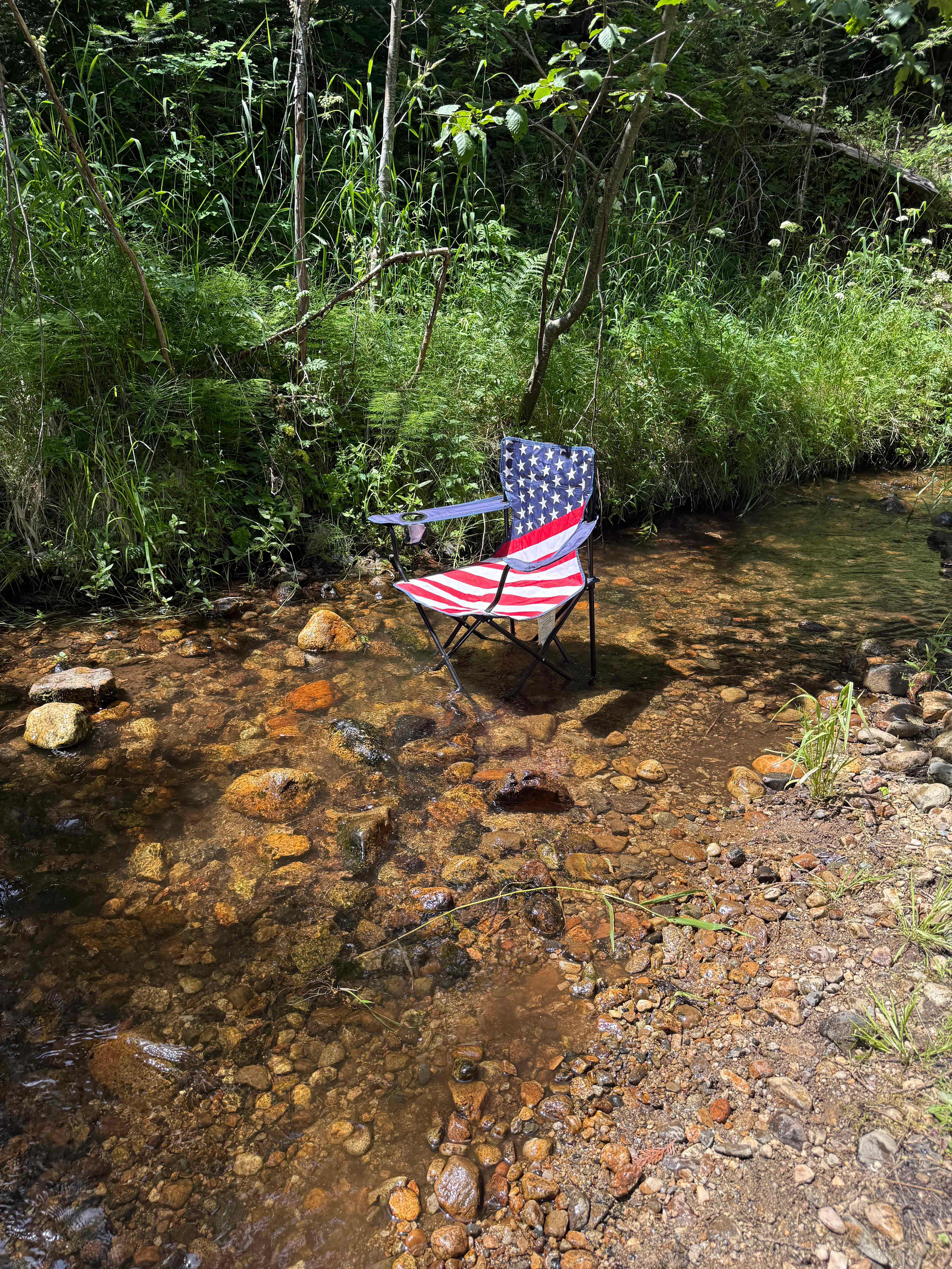 Turnipseed Creek Campsites