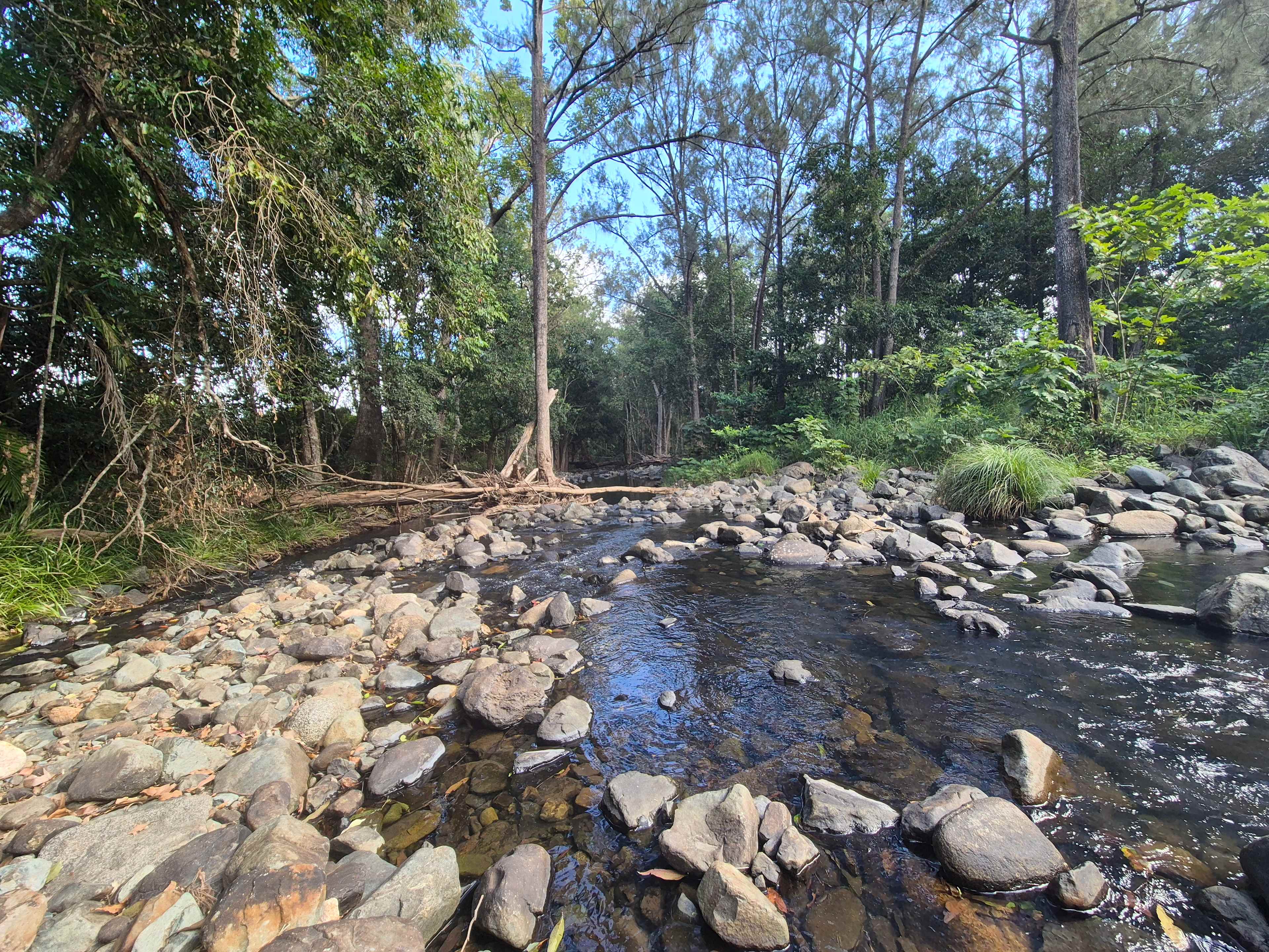 Private Rainforest Creek Camp