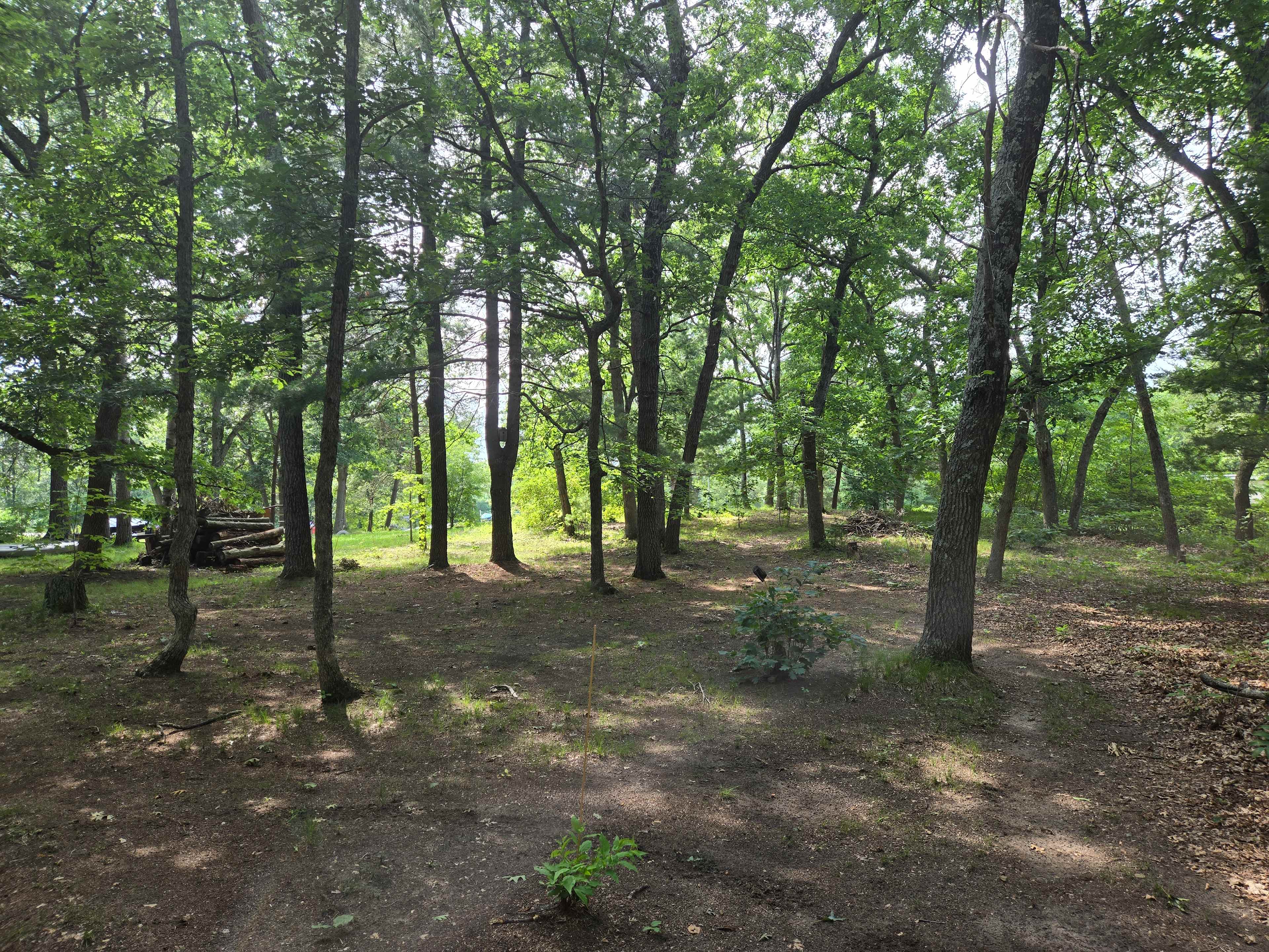 Oak Glen Hollow