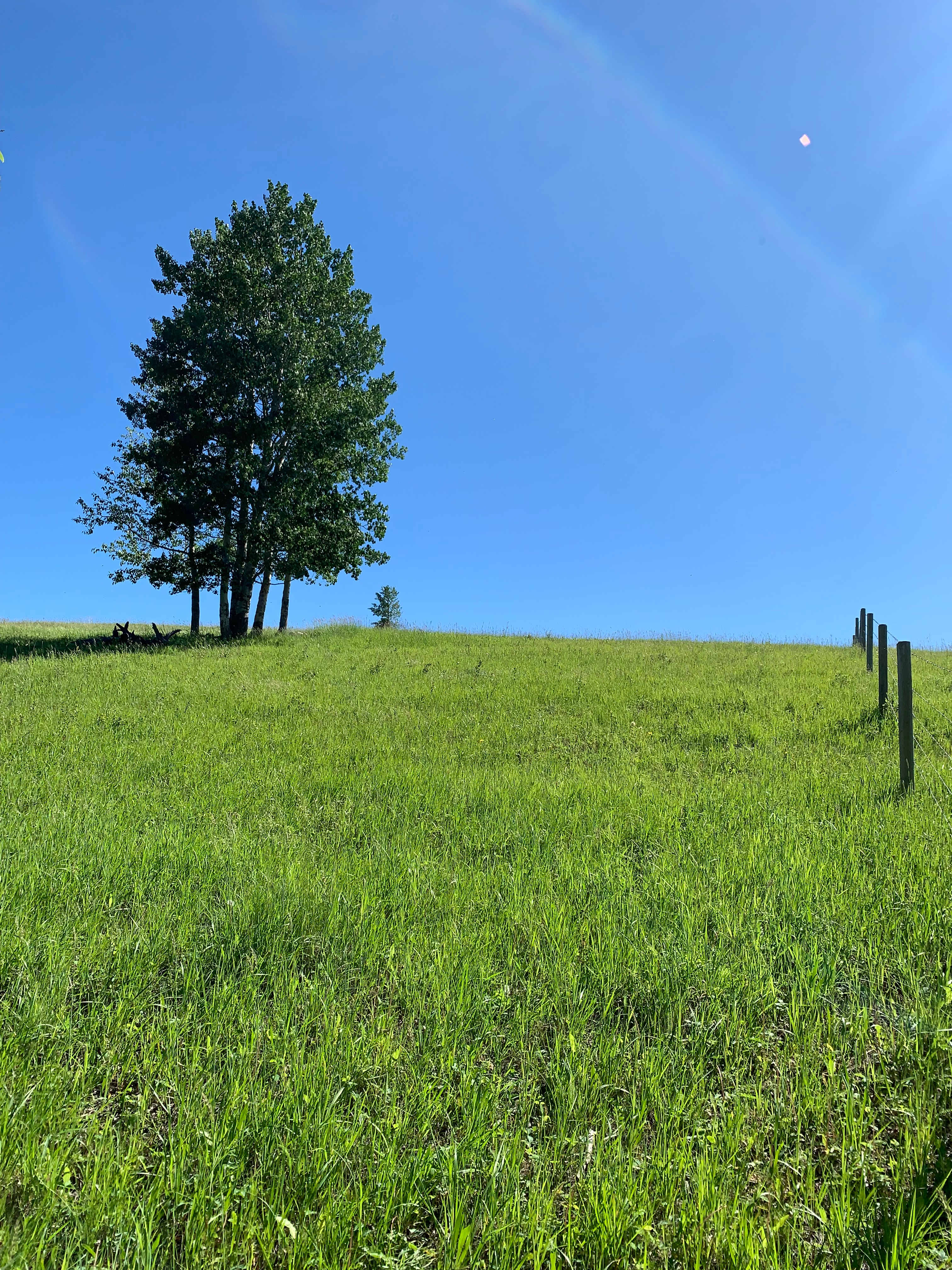 Rough Diamond Ranch Alberta