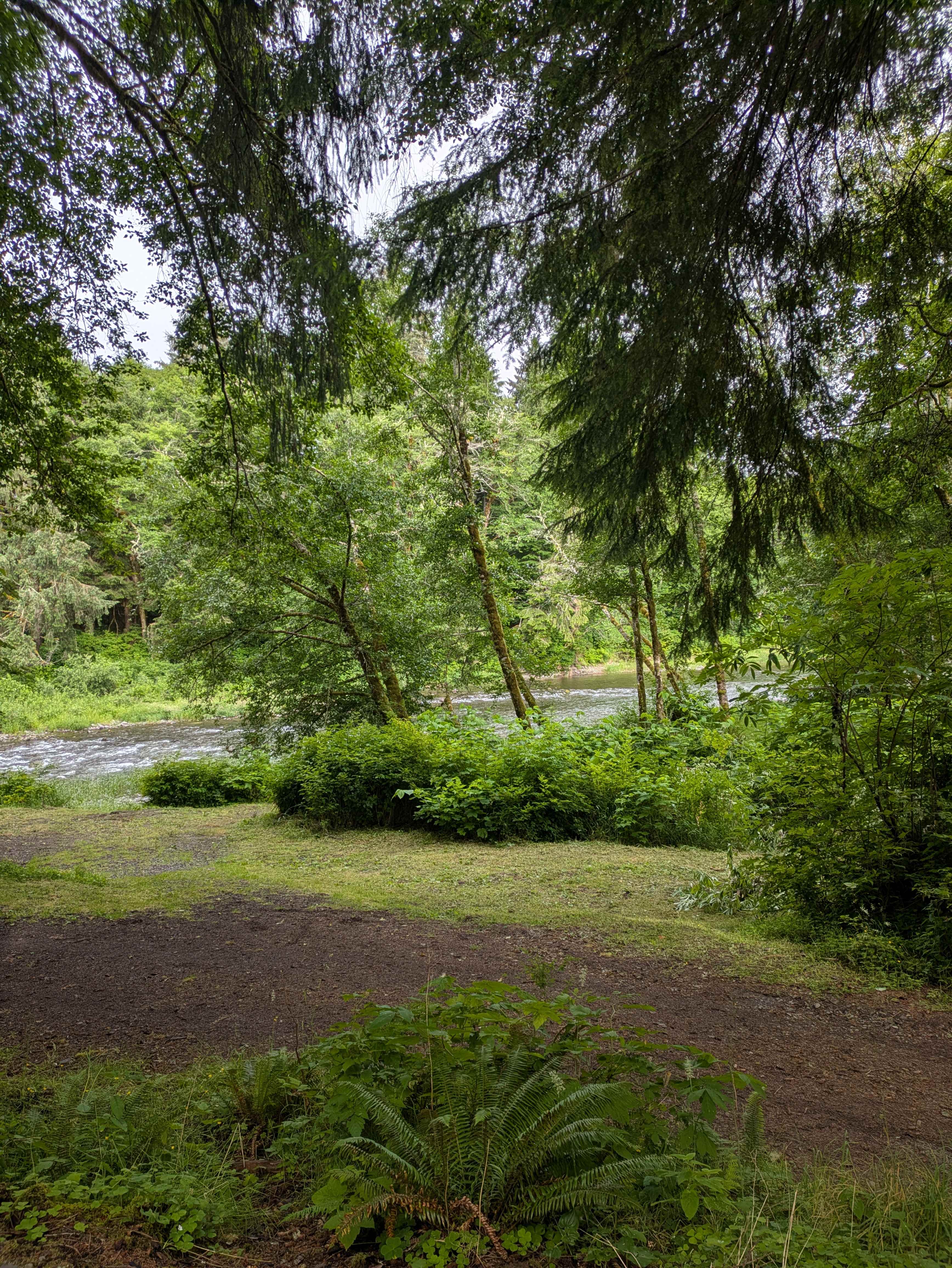 The Ultimate Camping Trip