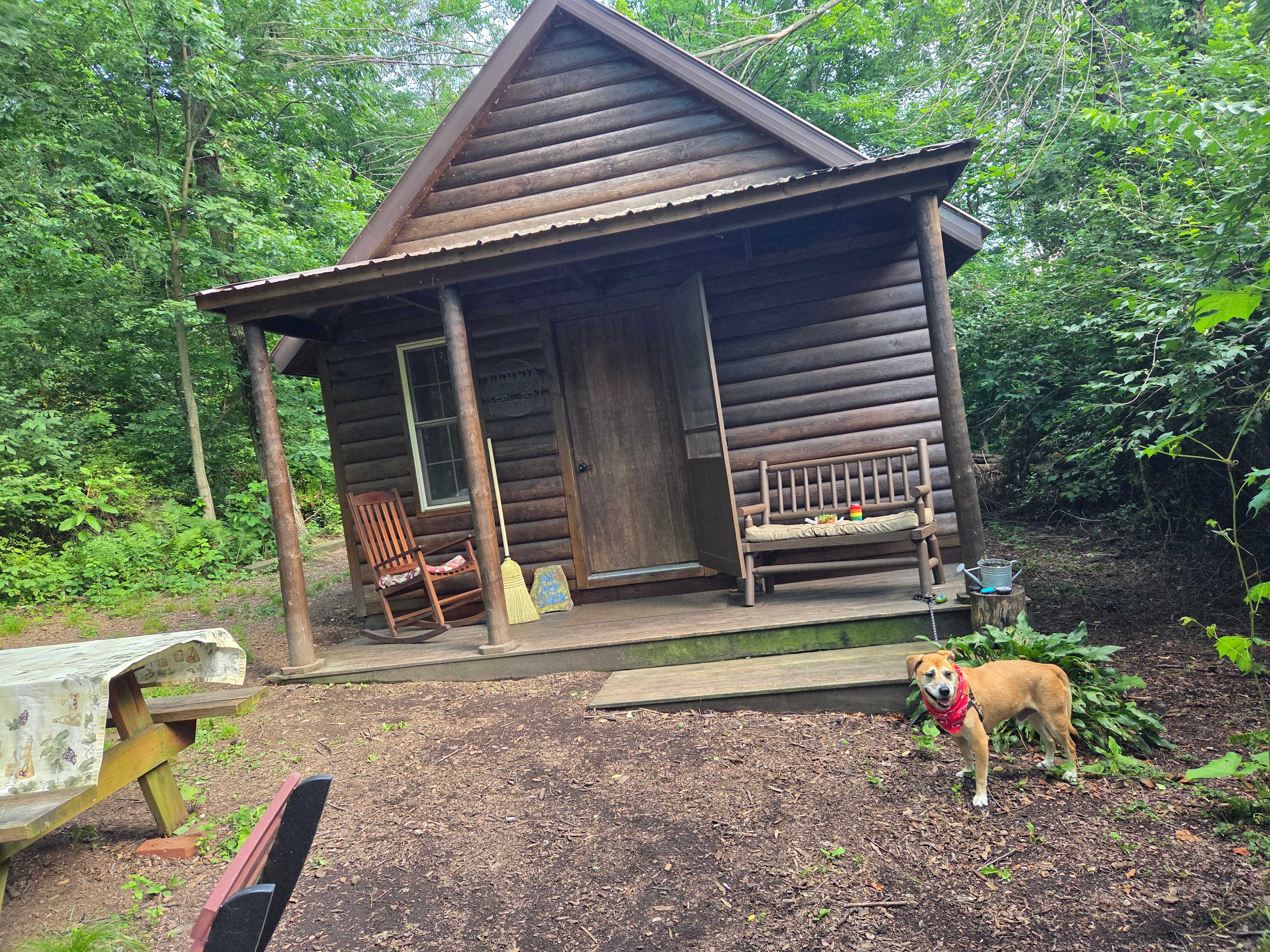The Camp Cabin at the Hallstead