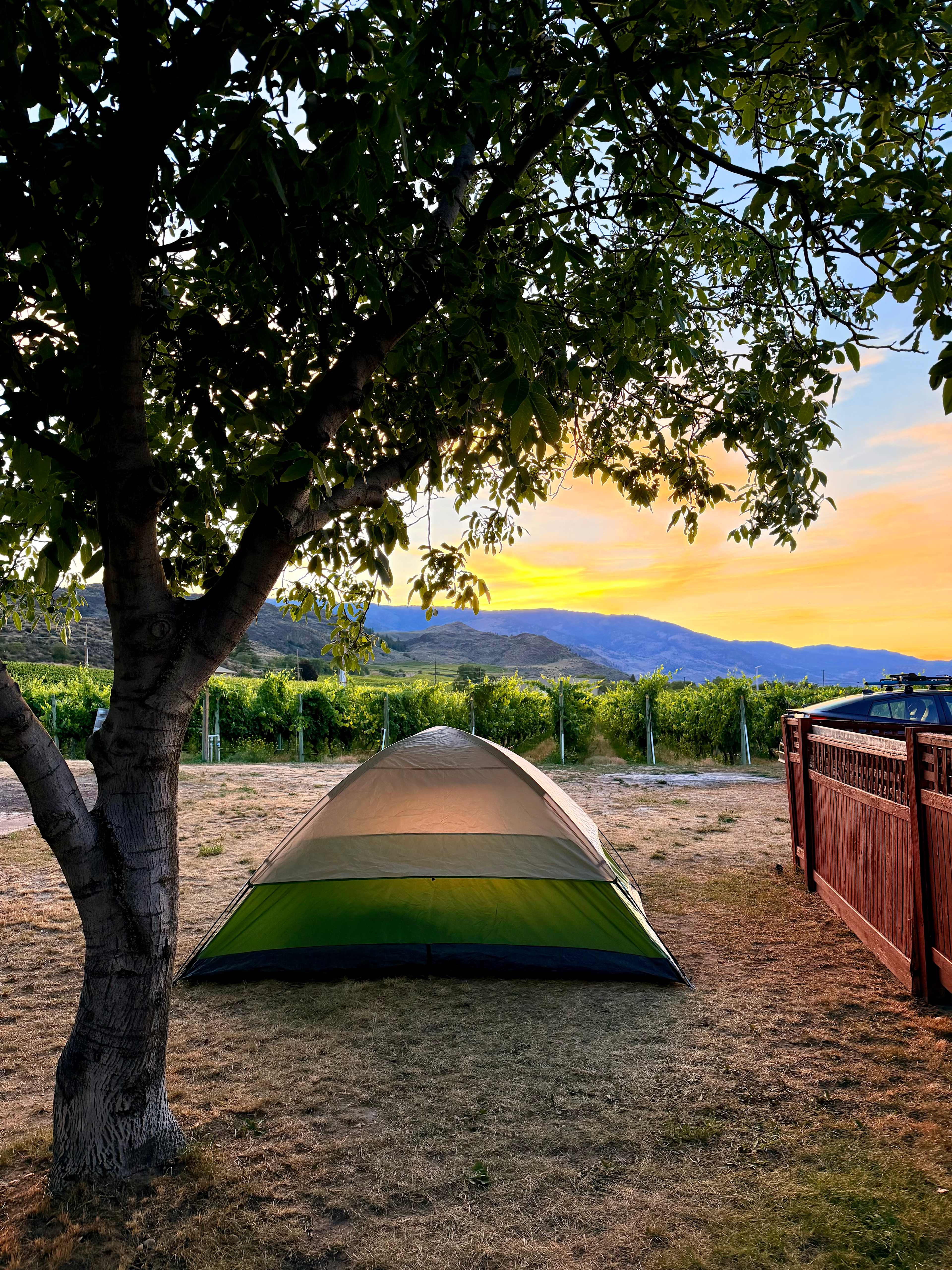 Mythology Vineyard