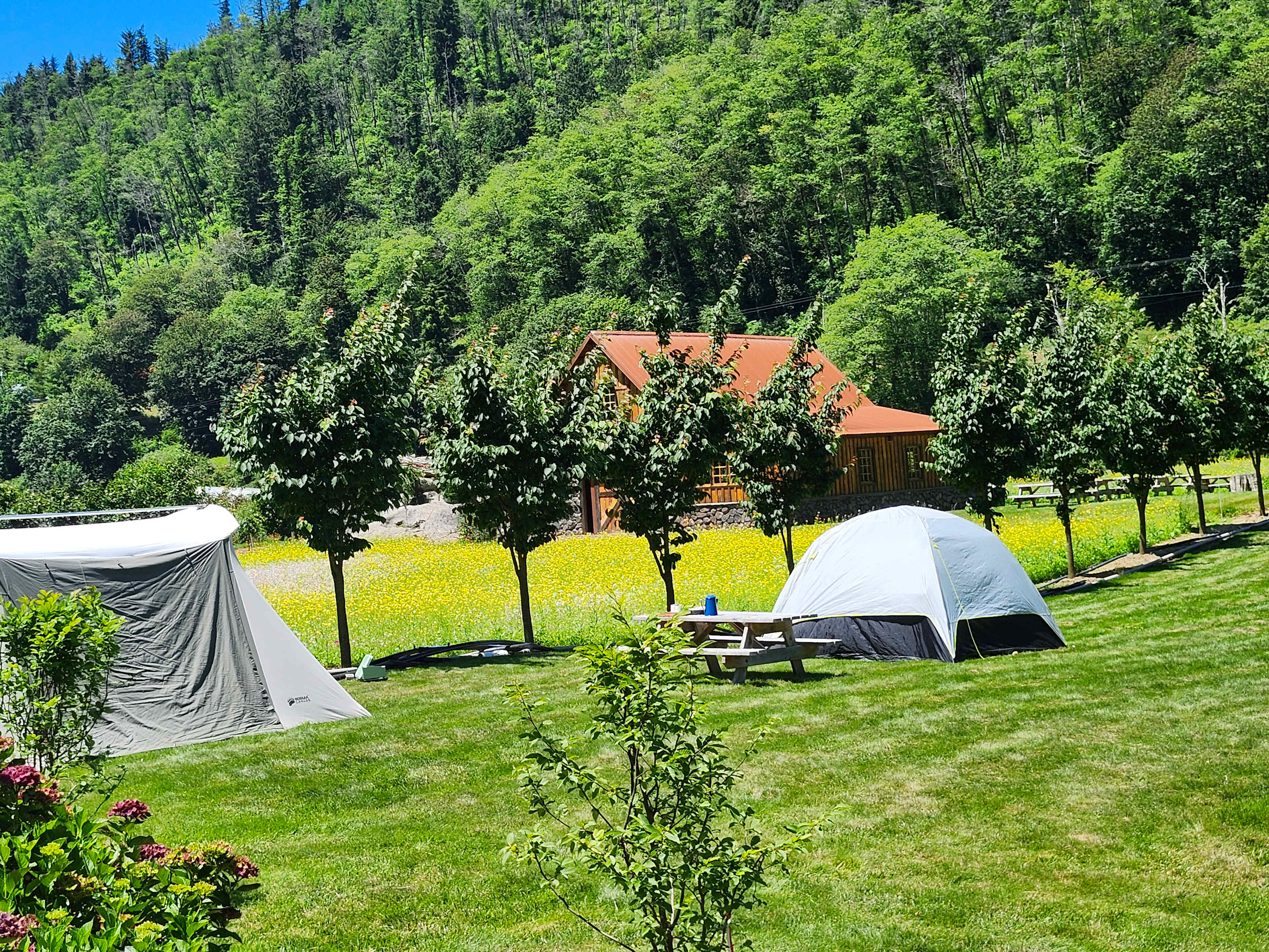 Camping next to meadow
