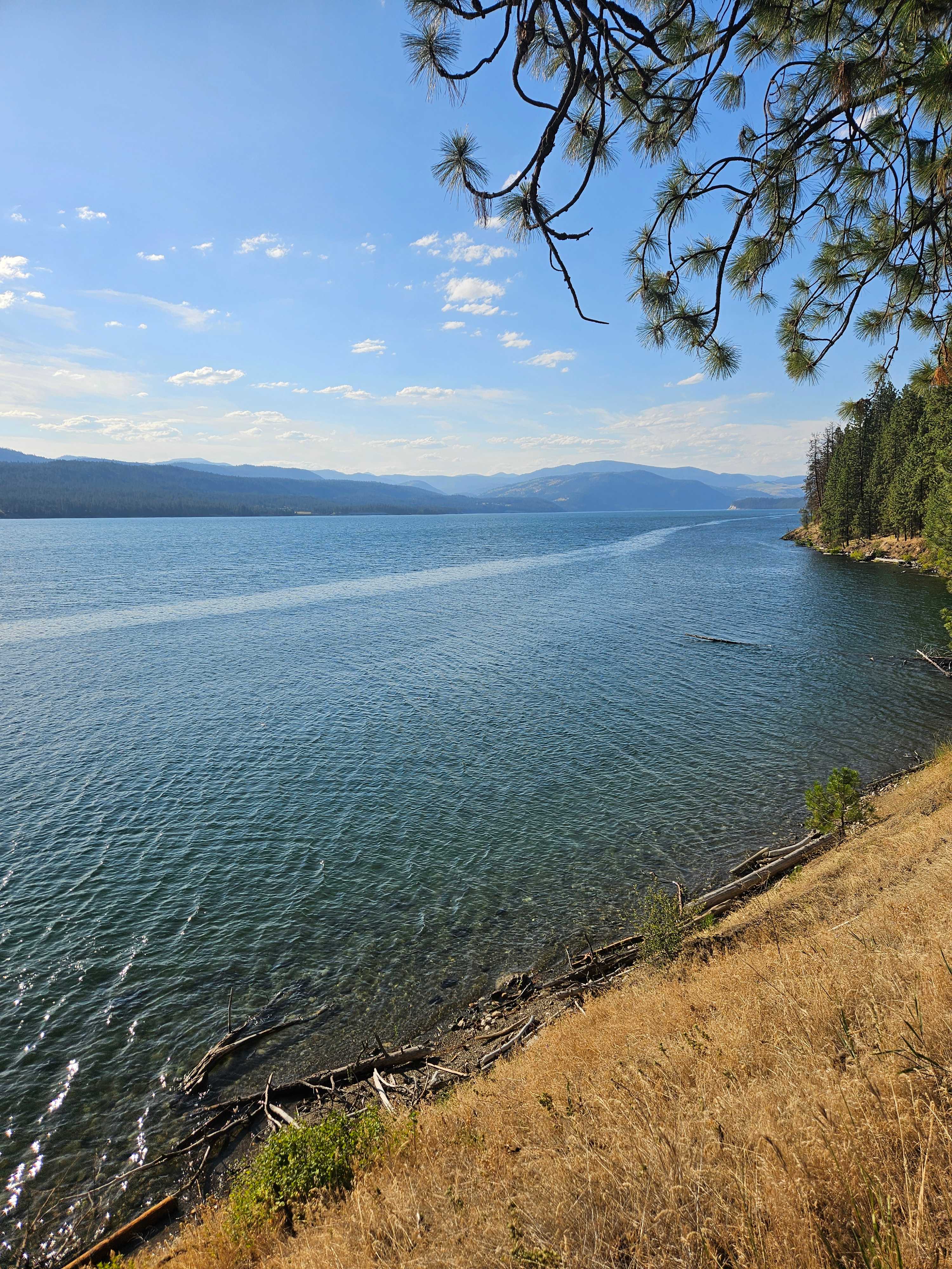 From cabin site.