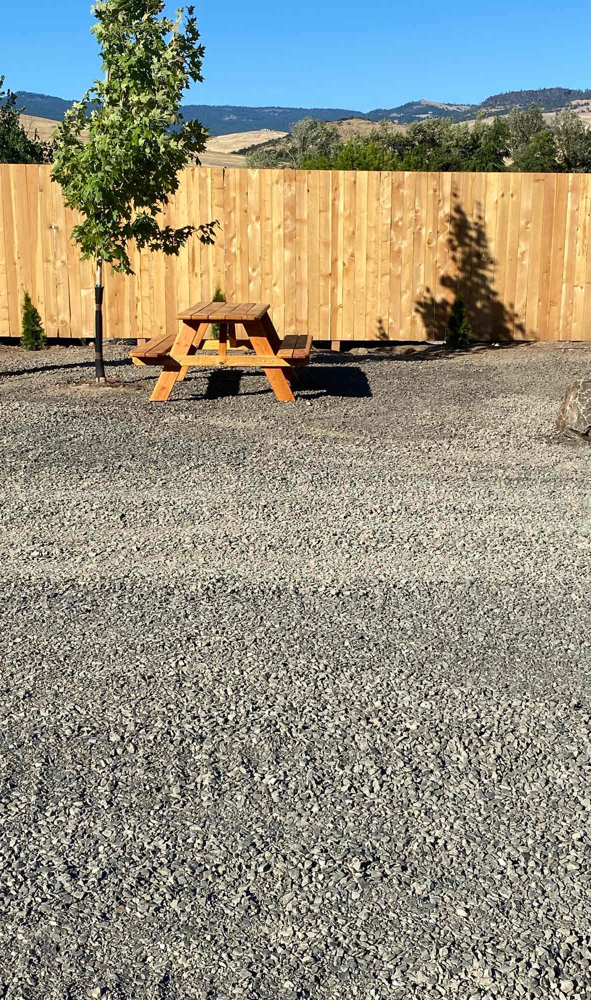 Picture of the site