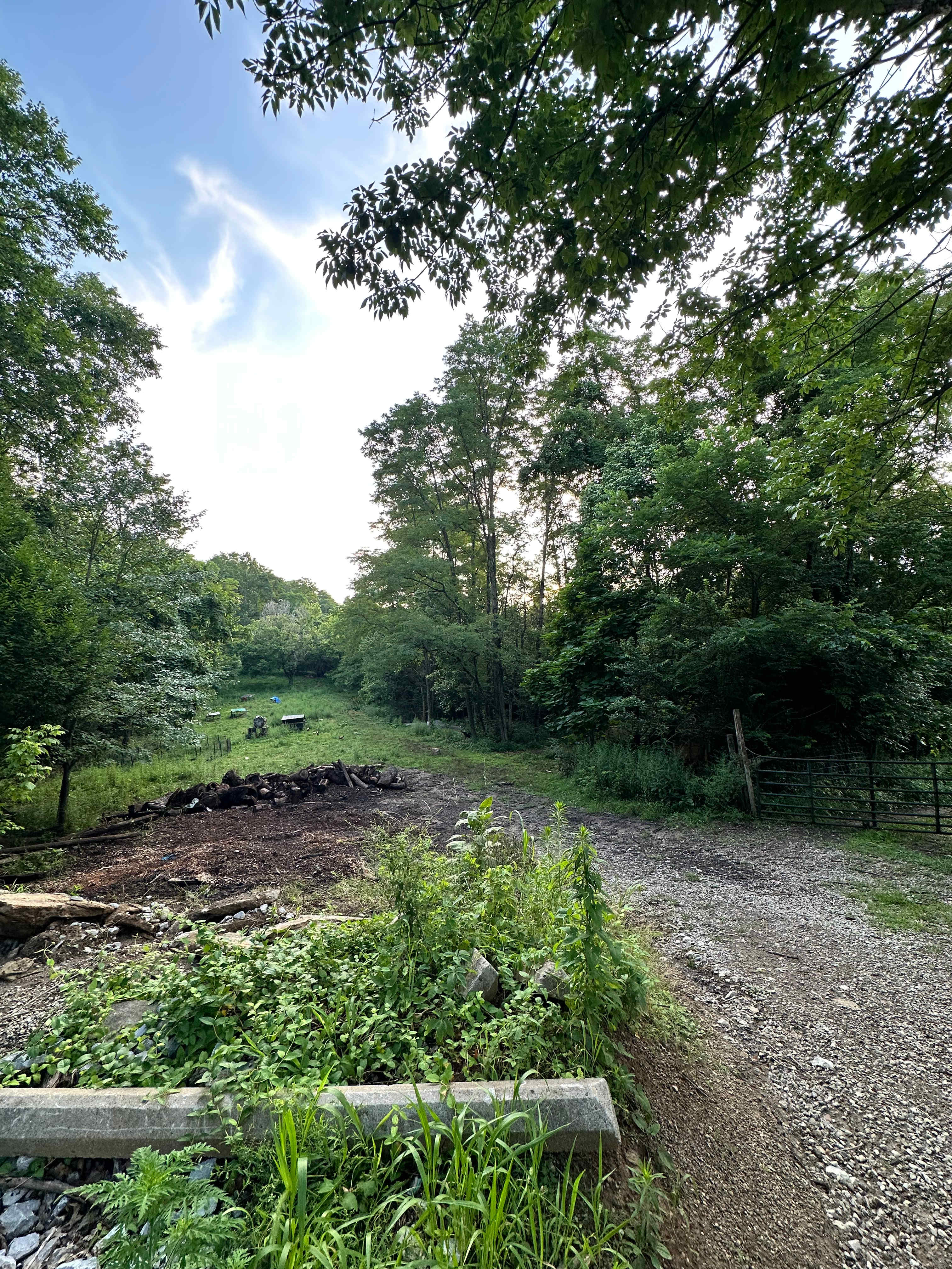 Picture of the site