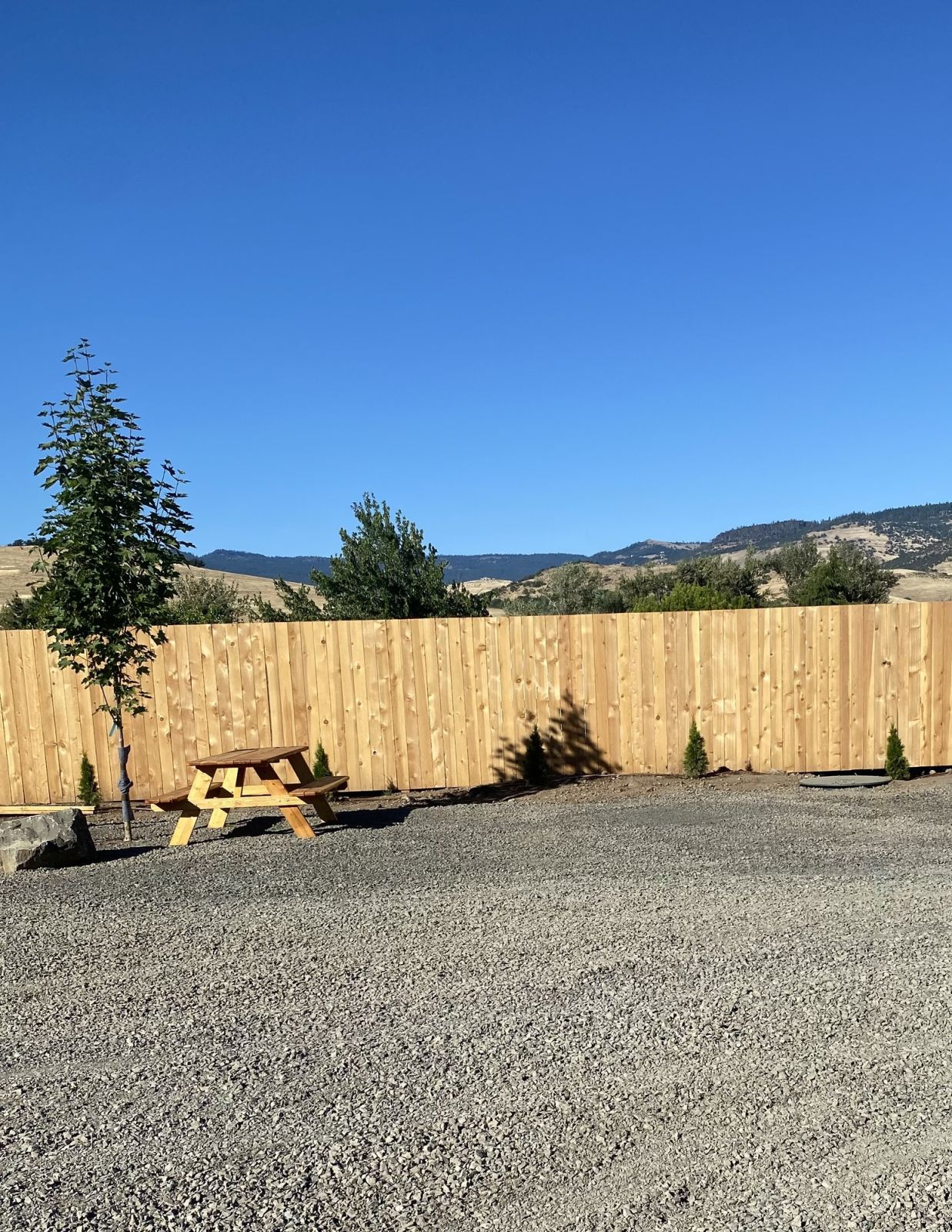 Picture of the site