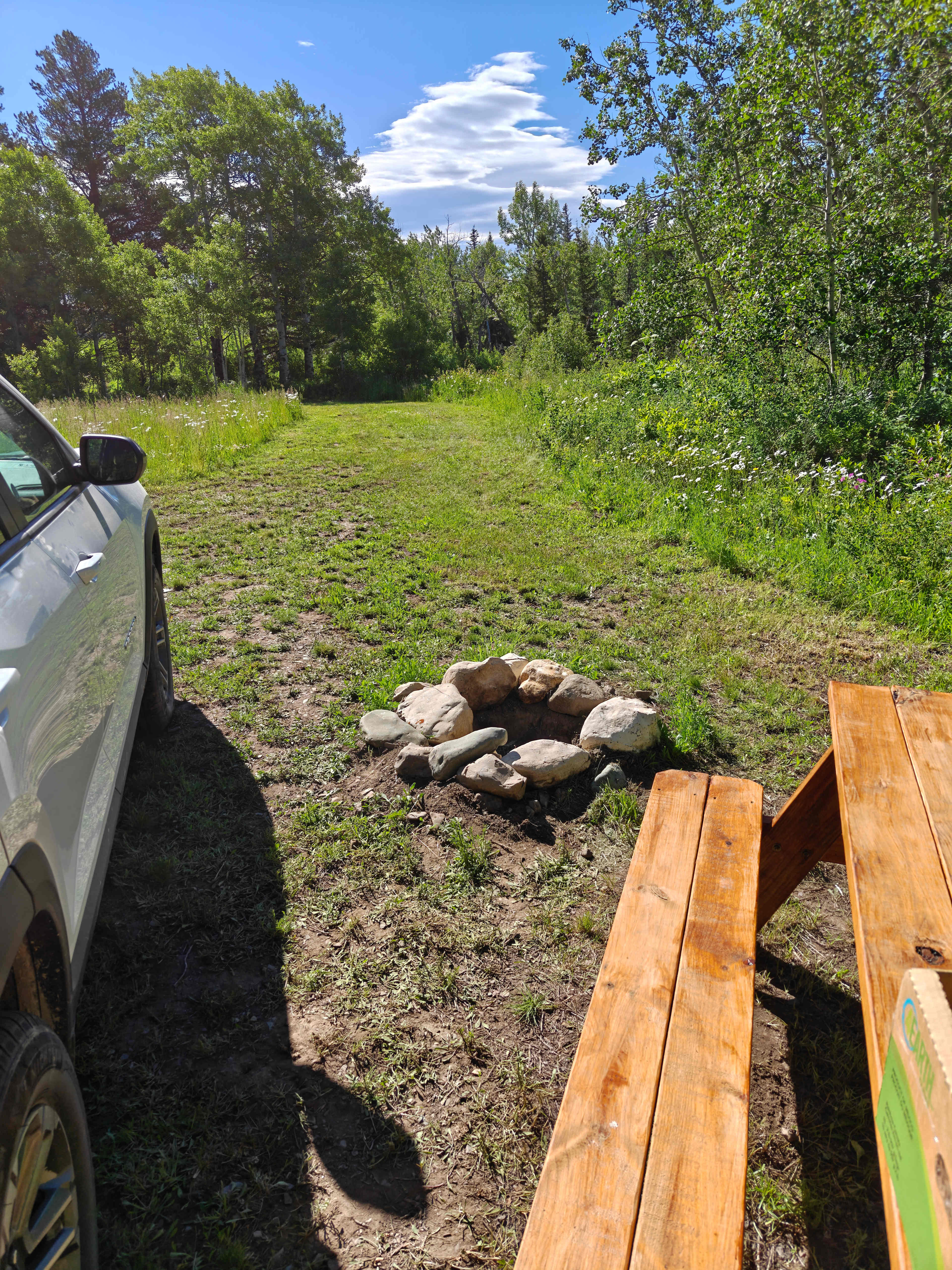 Picture of the site