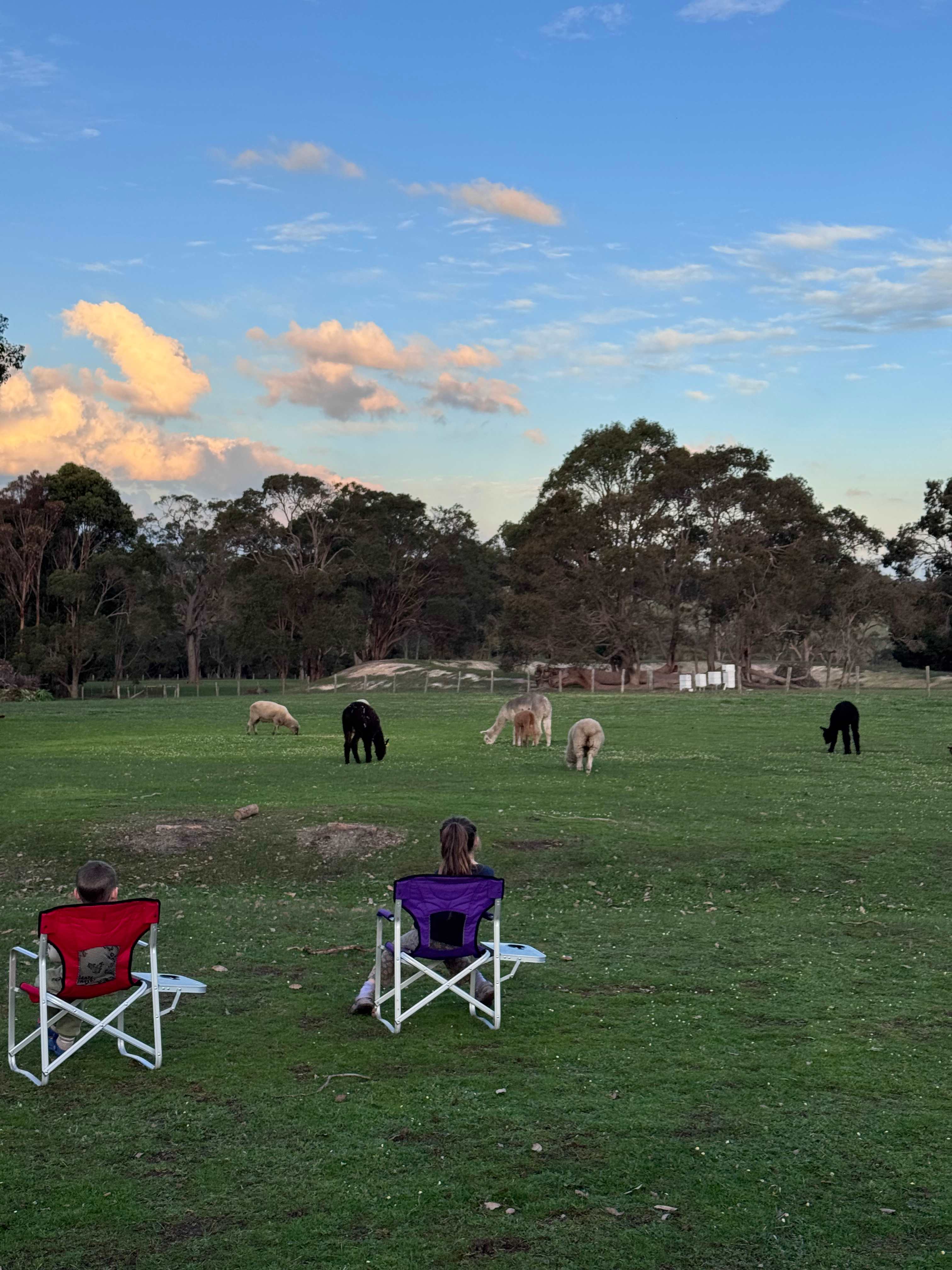 Ridgeview Orchard