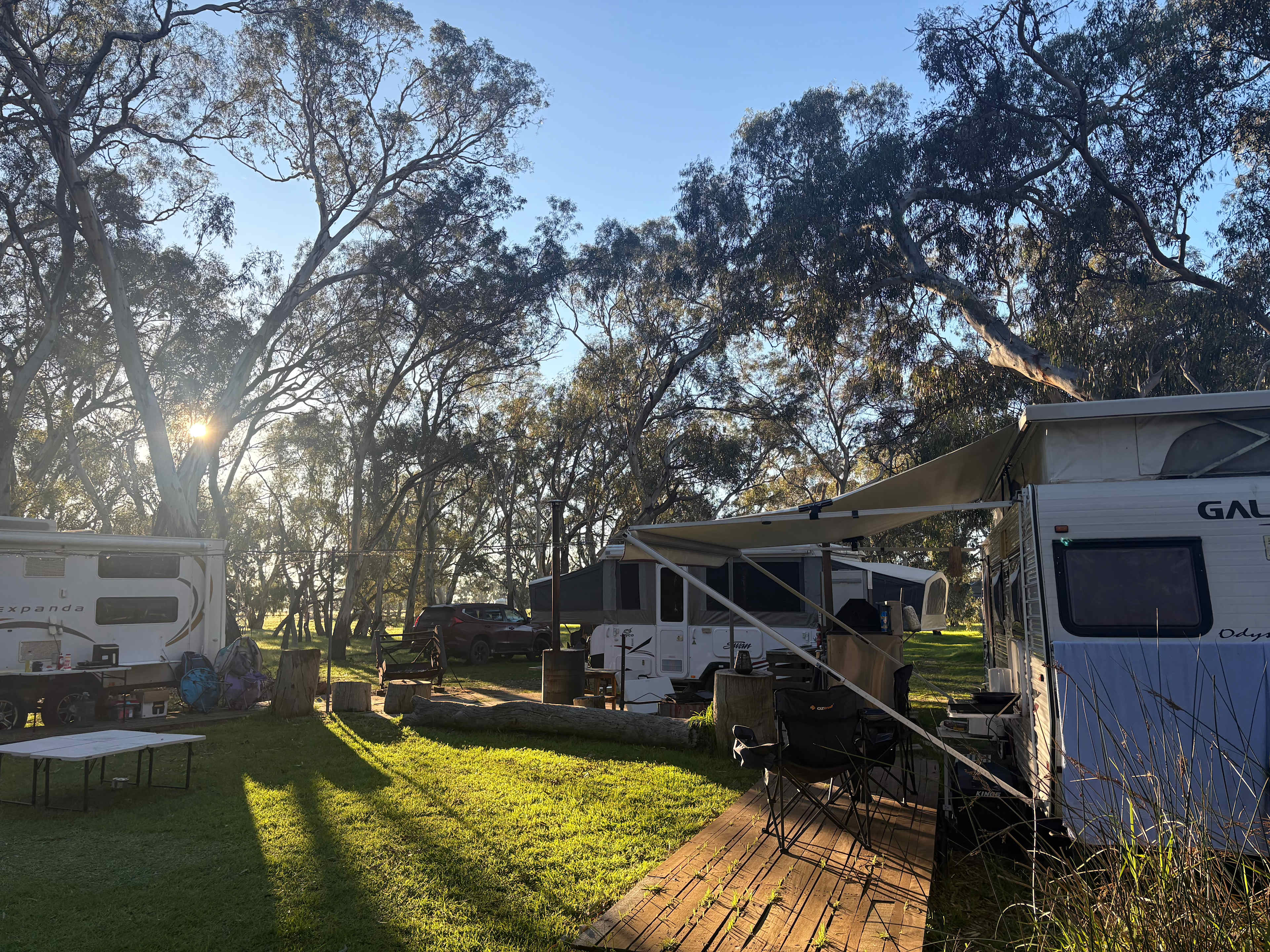 Morning sun