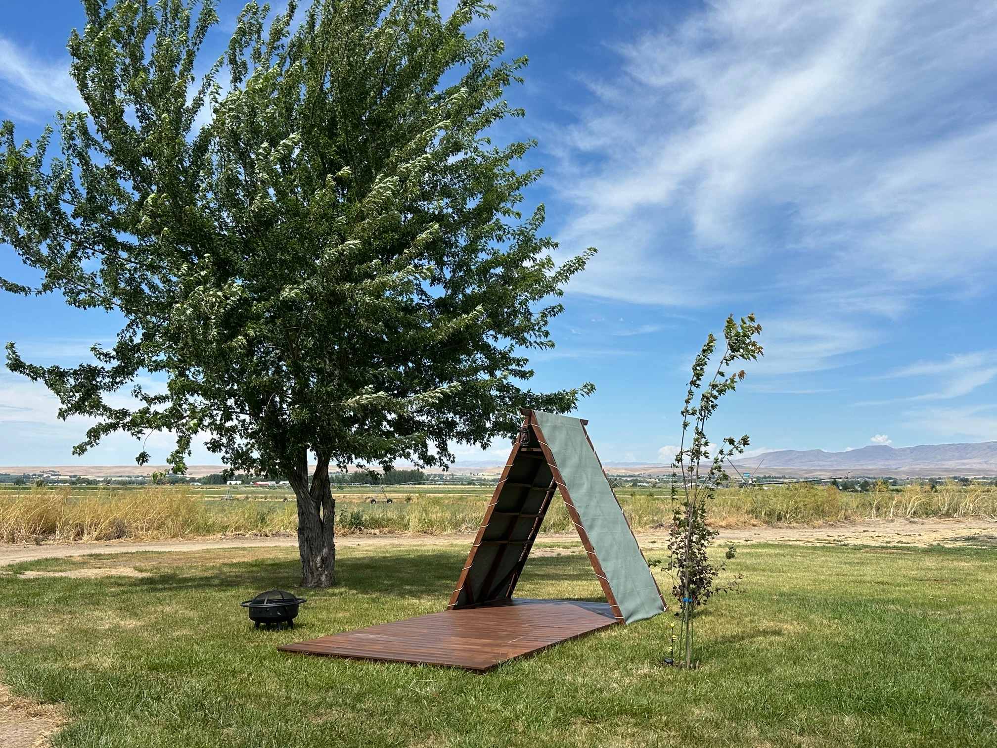 Picture of the site