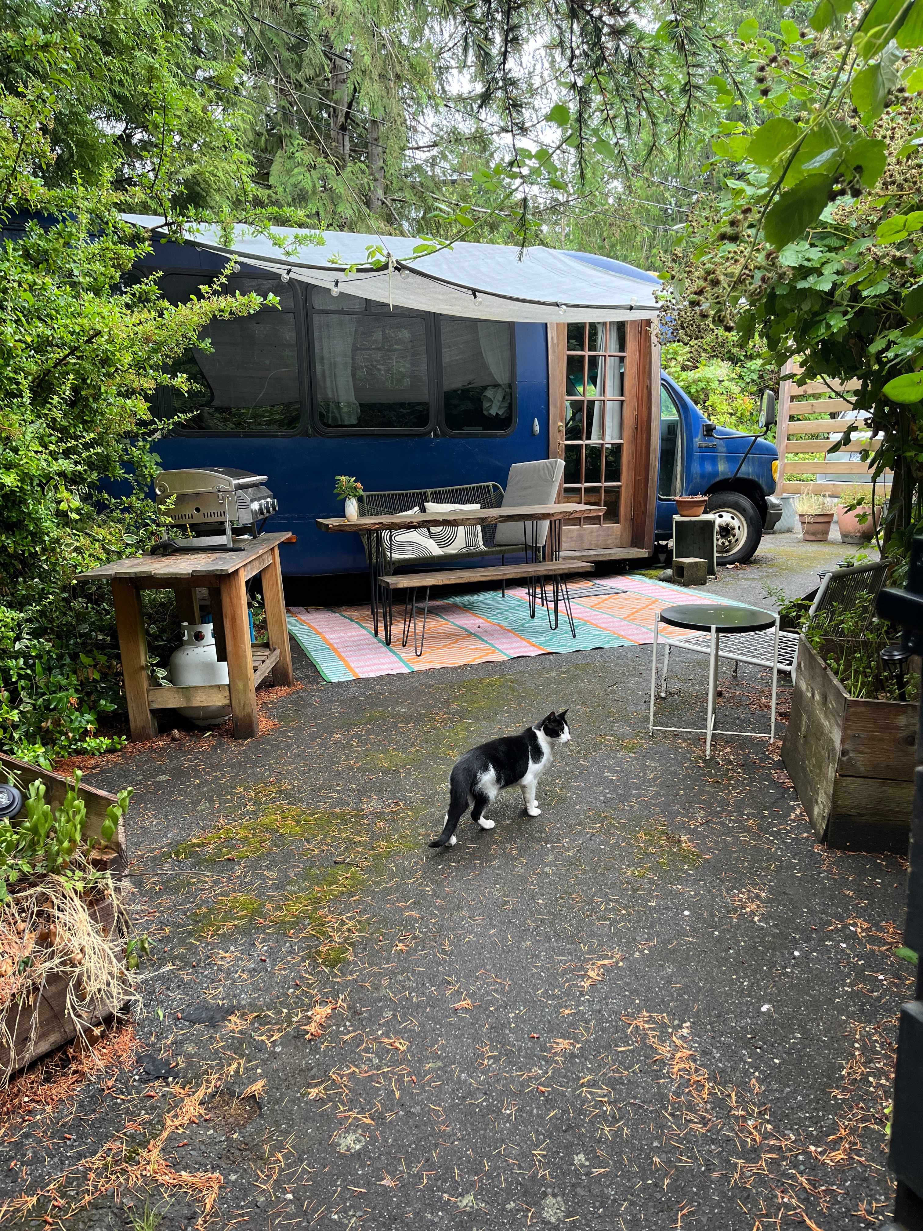 Island Gertie