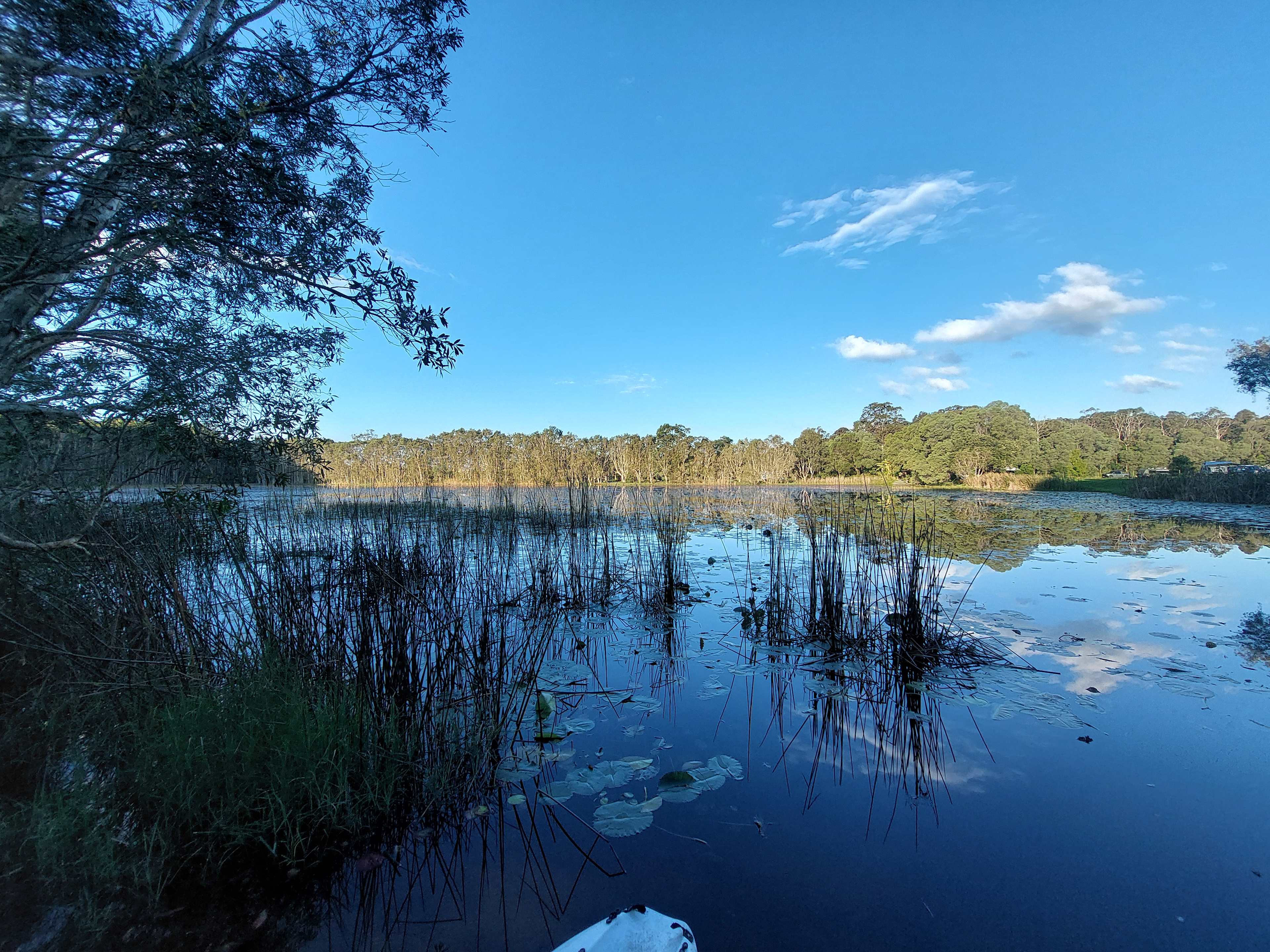 The Magic Pond
