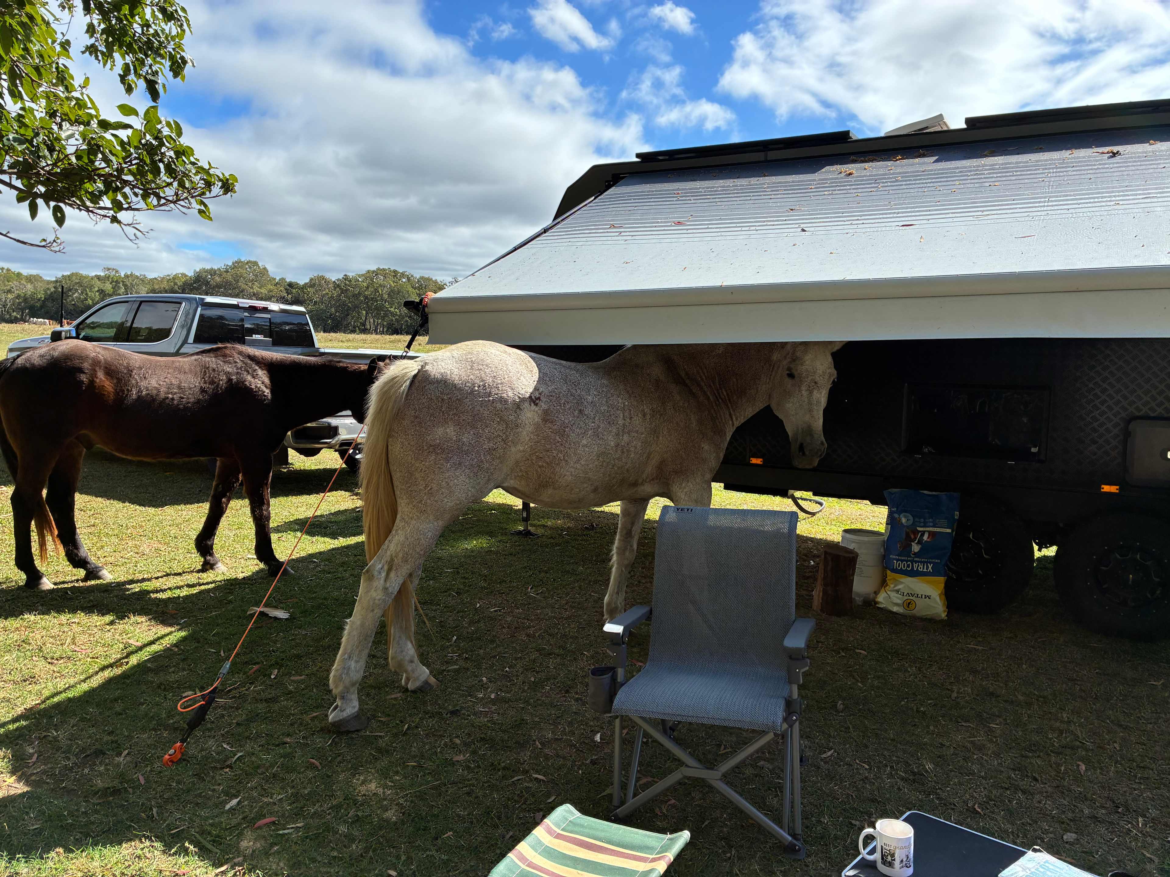 Ilbilbie Station Farm Stay