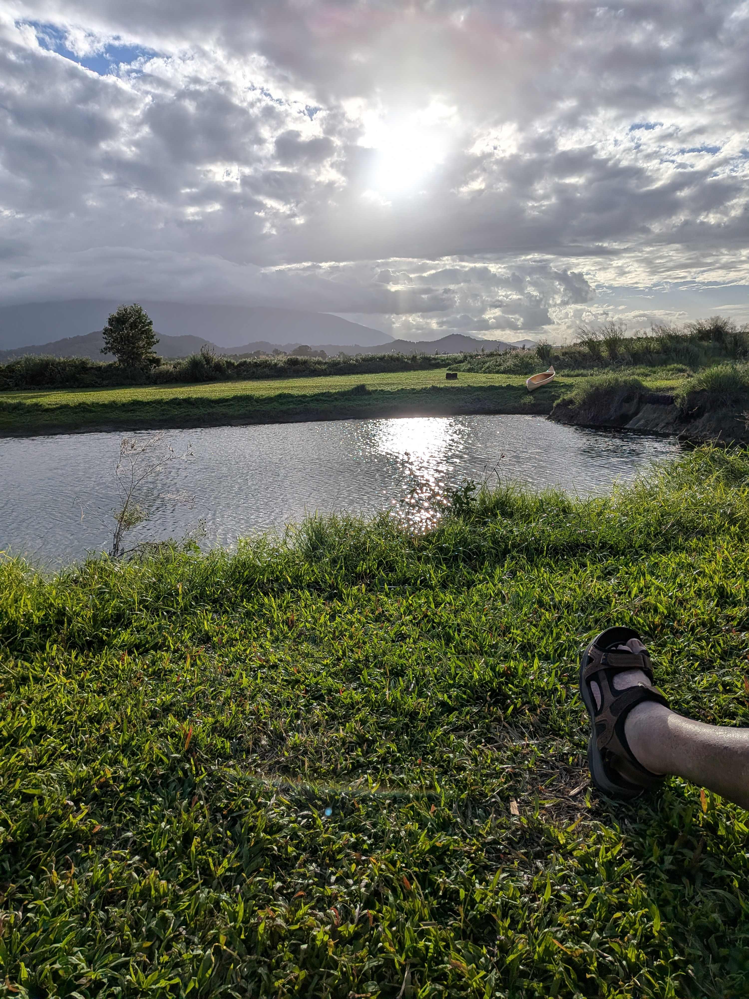 Green and lush around dam