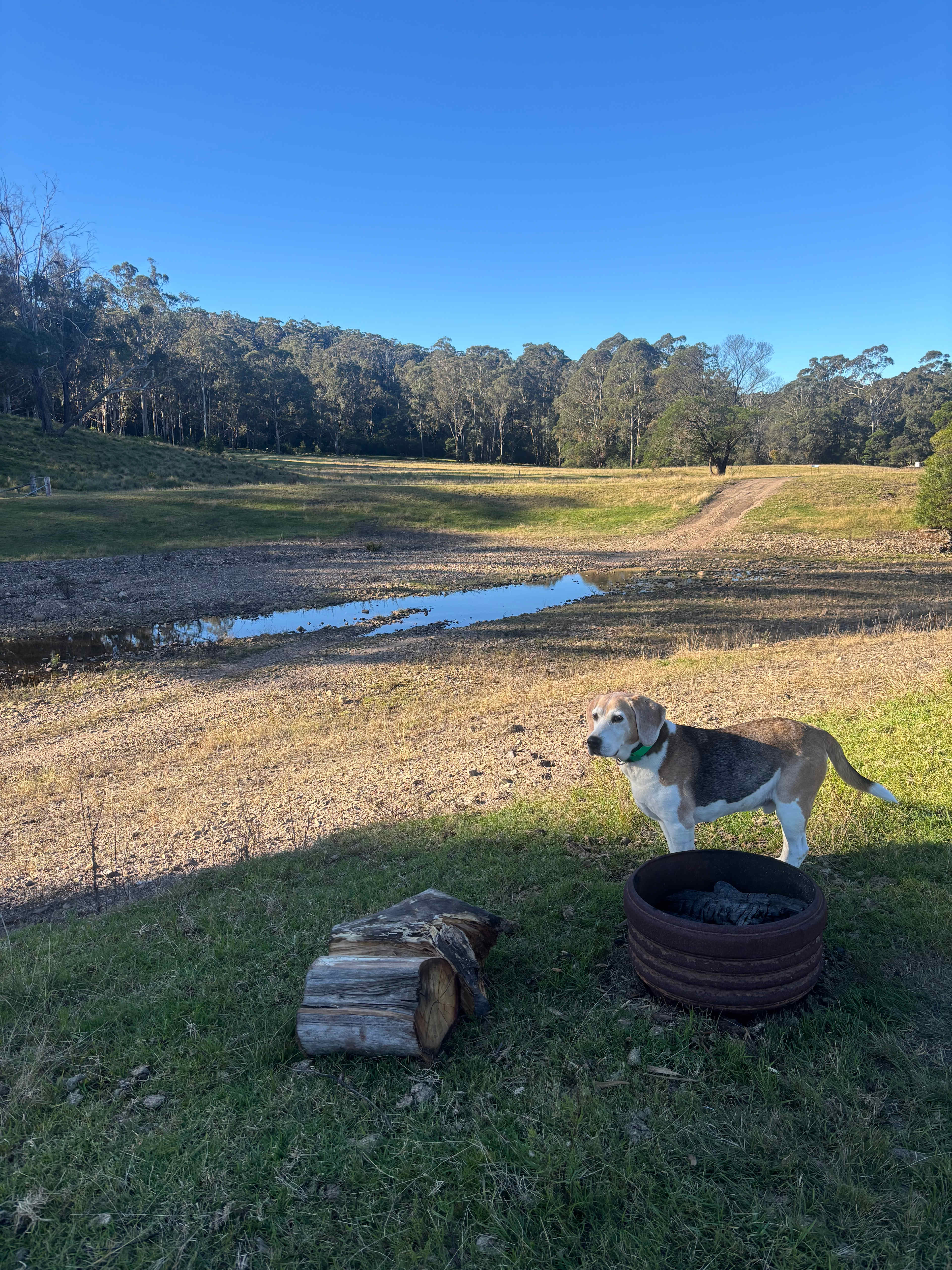 Merimbula Camping