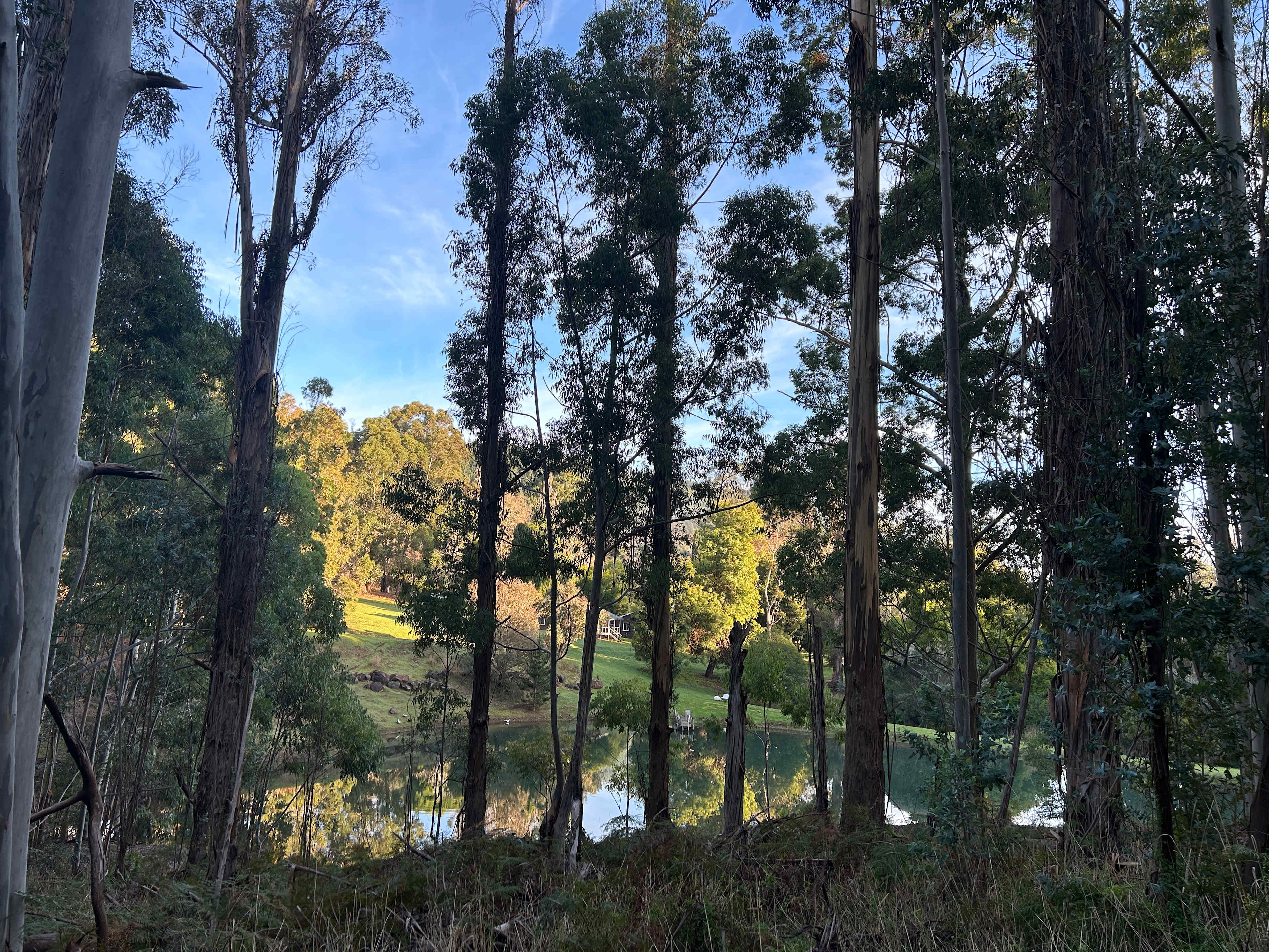 Lewana Cottages Campsites