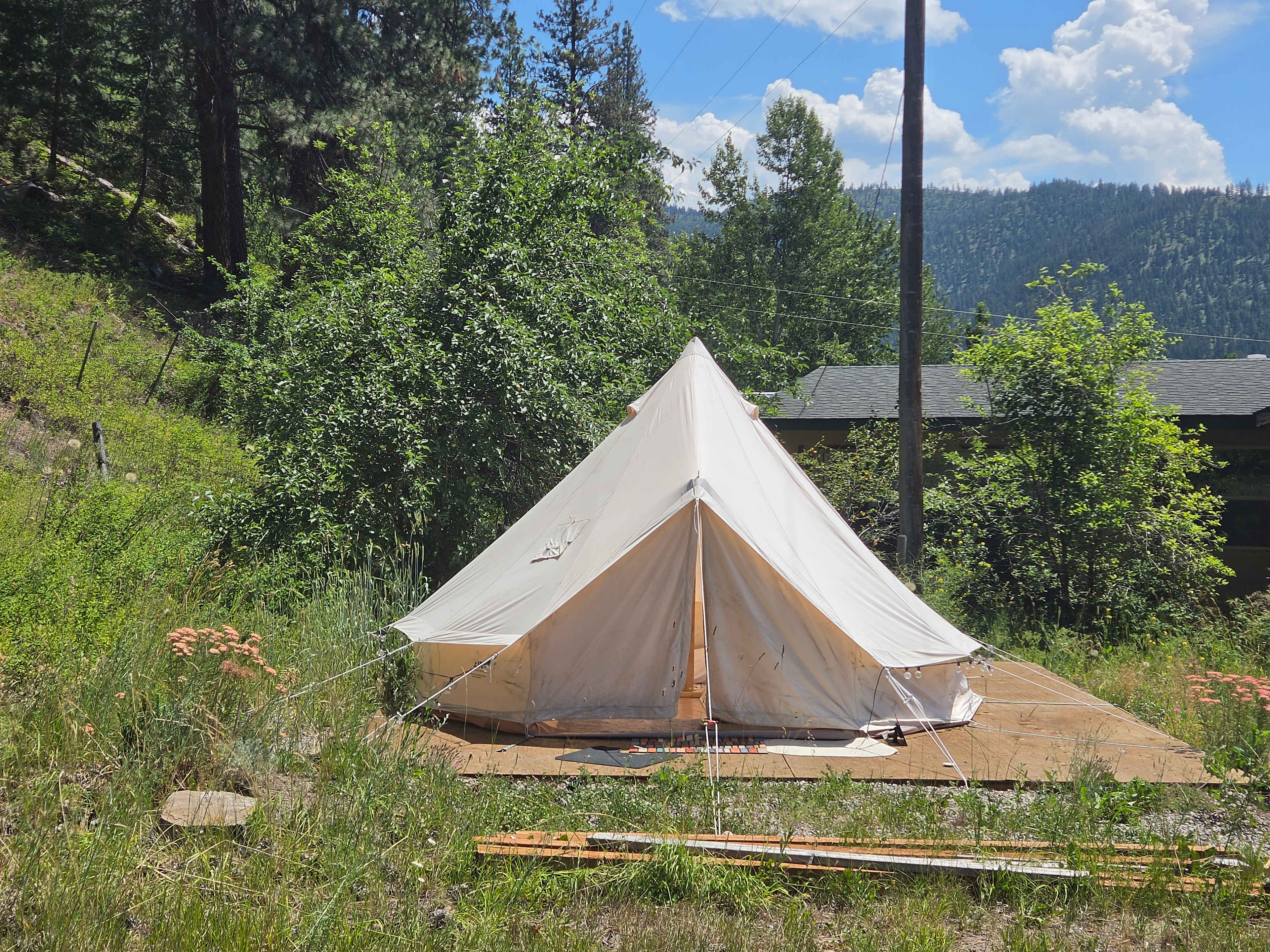 Picture of the site