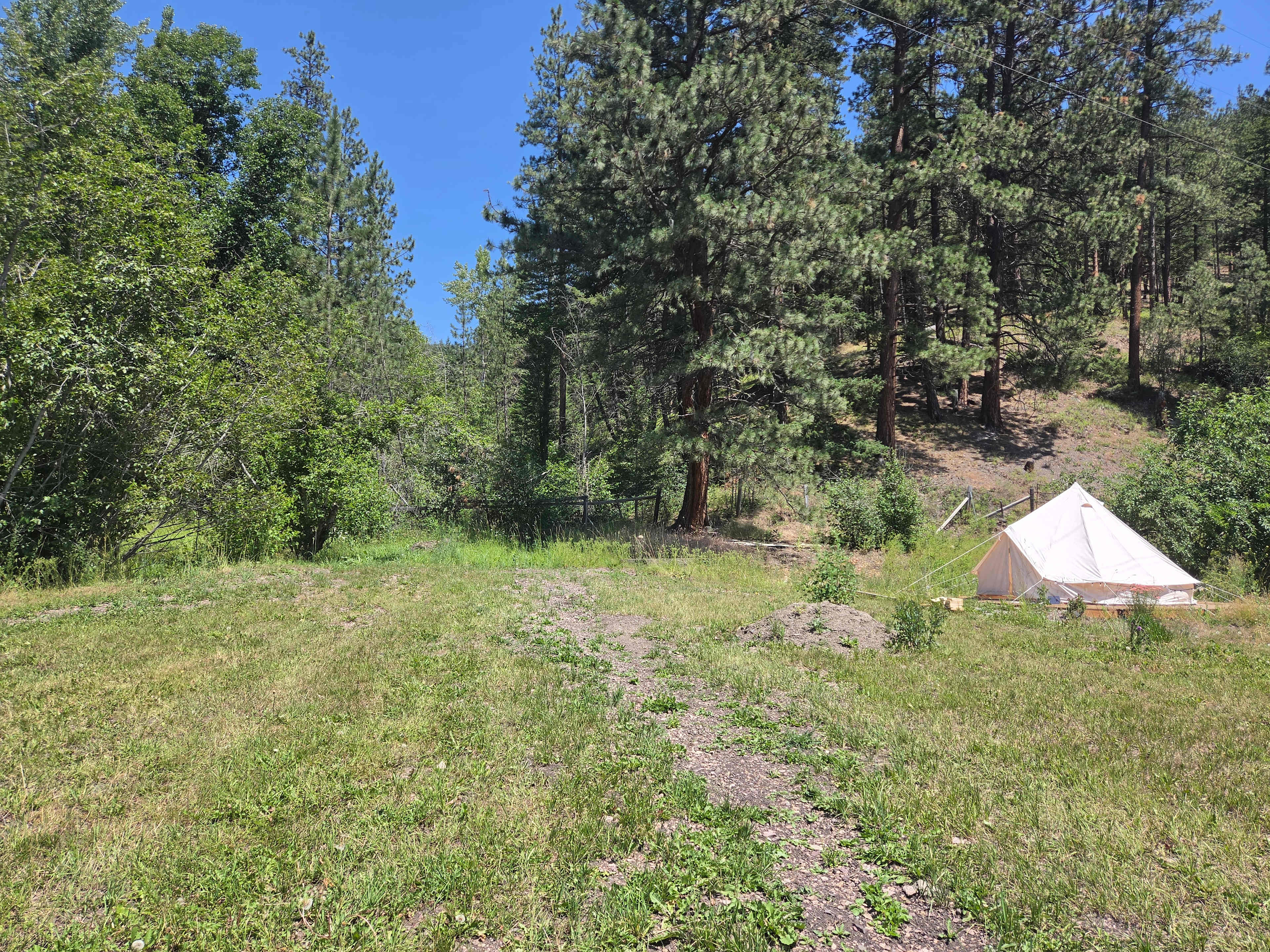 Picture of the site