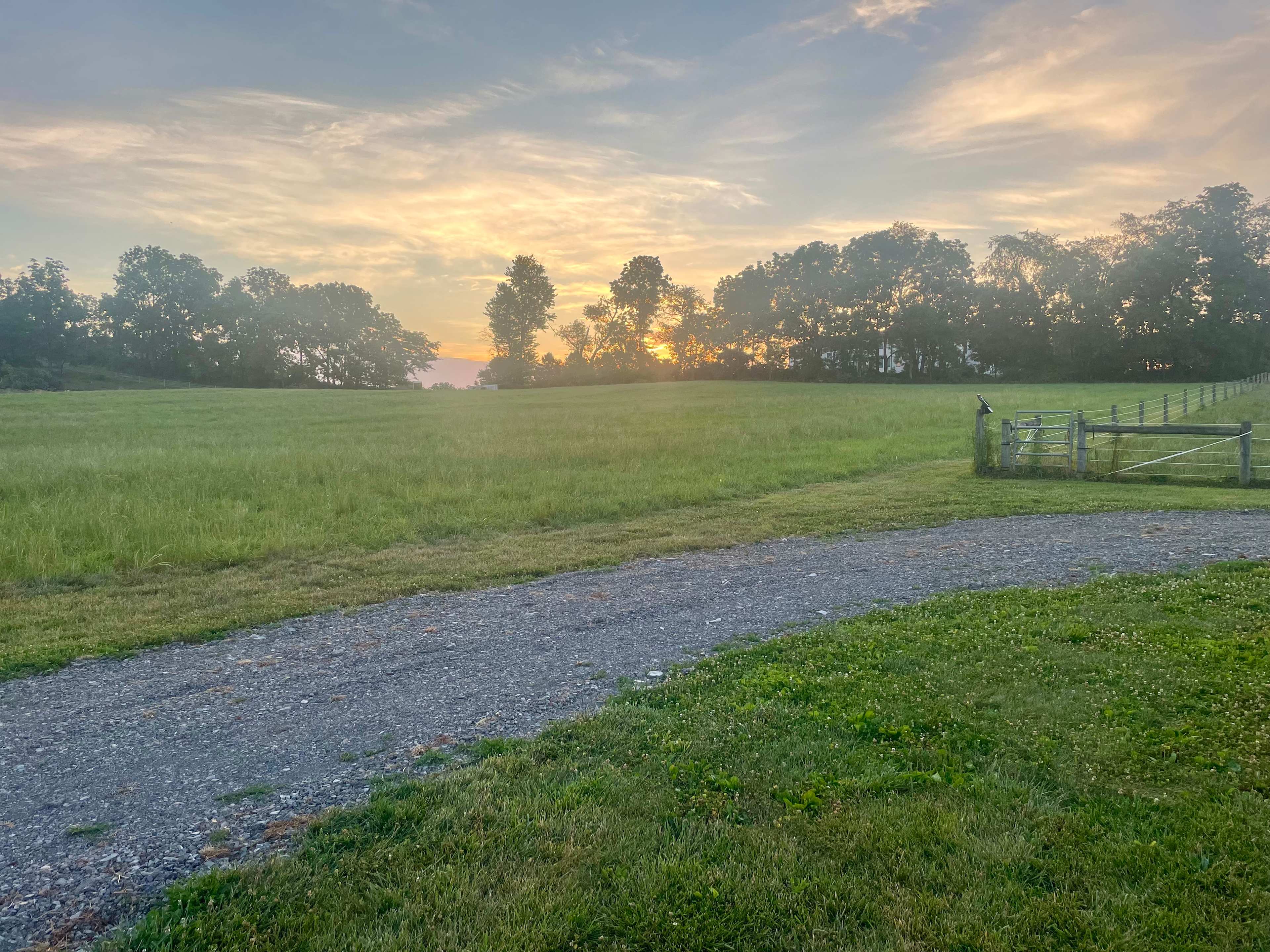 Circle S Farm Camping