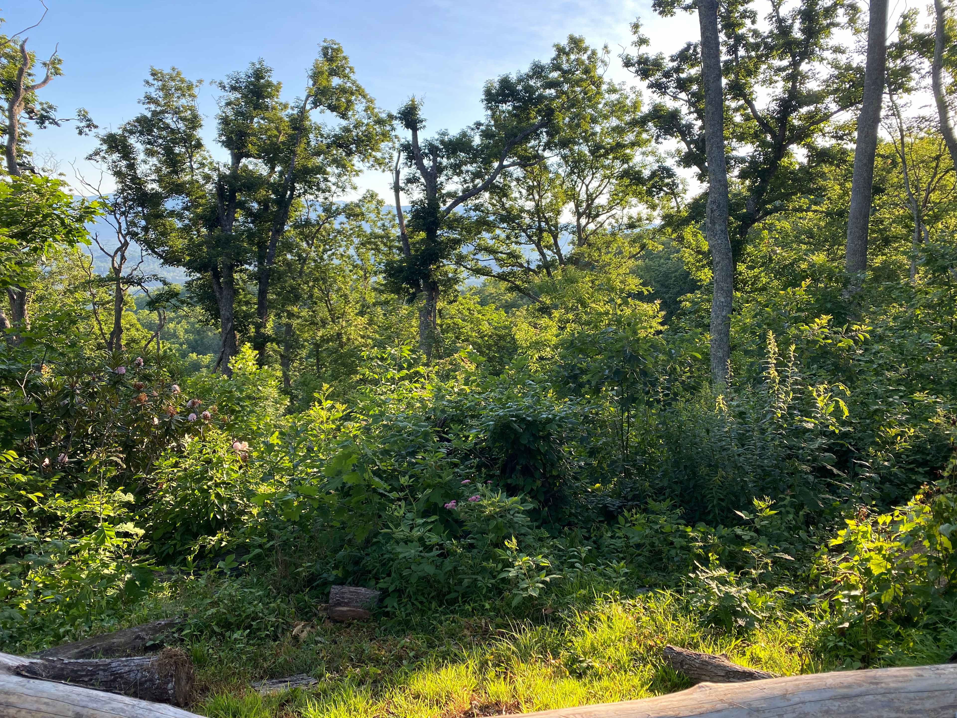 Barnhill Mountain in Fletcher, NC