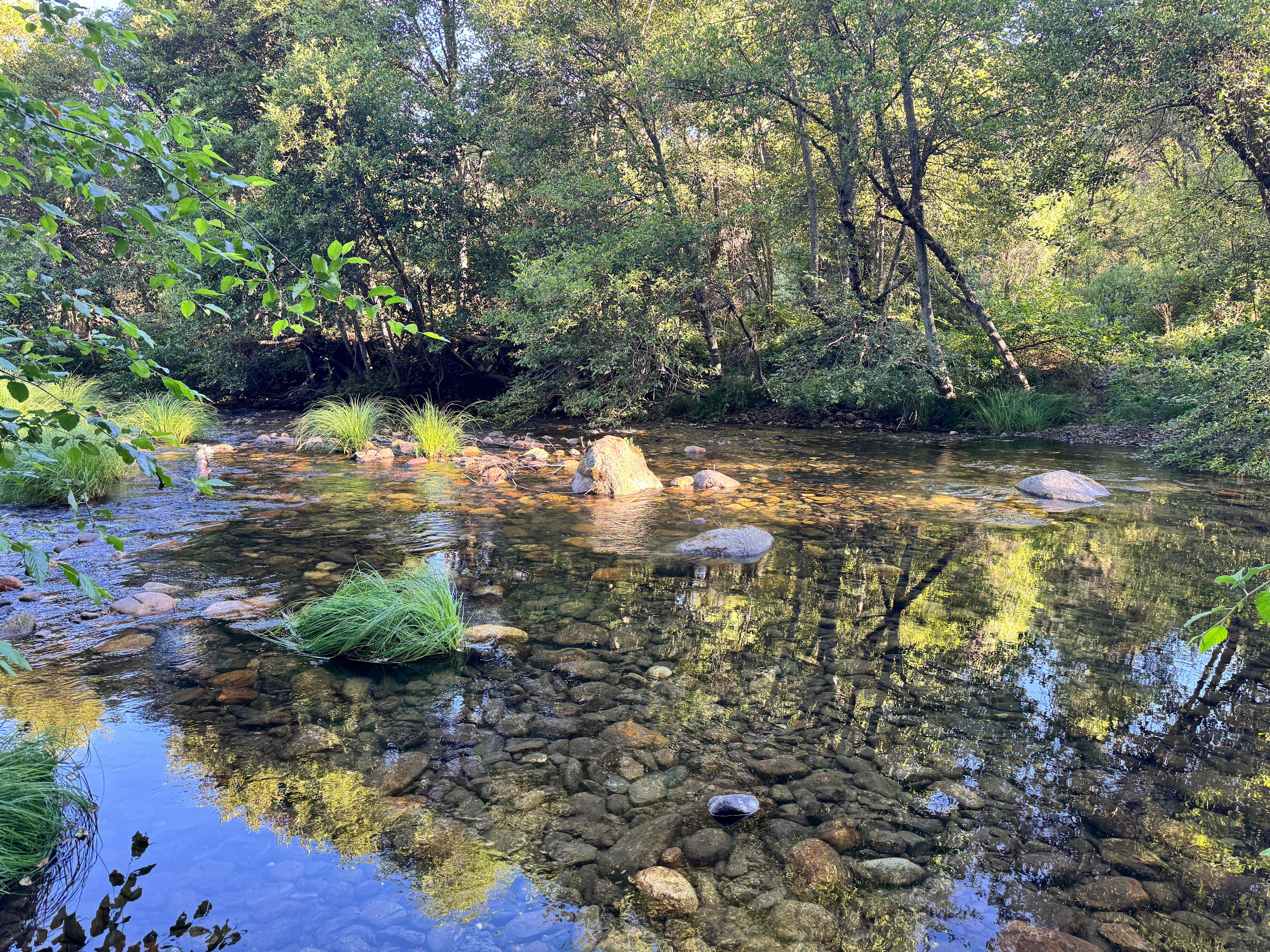 Cosumnes River Somerset Camp