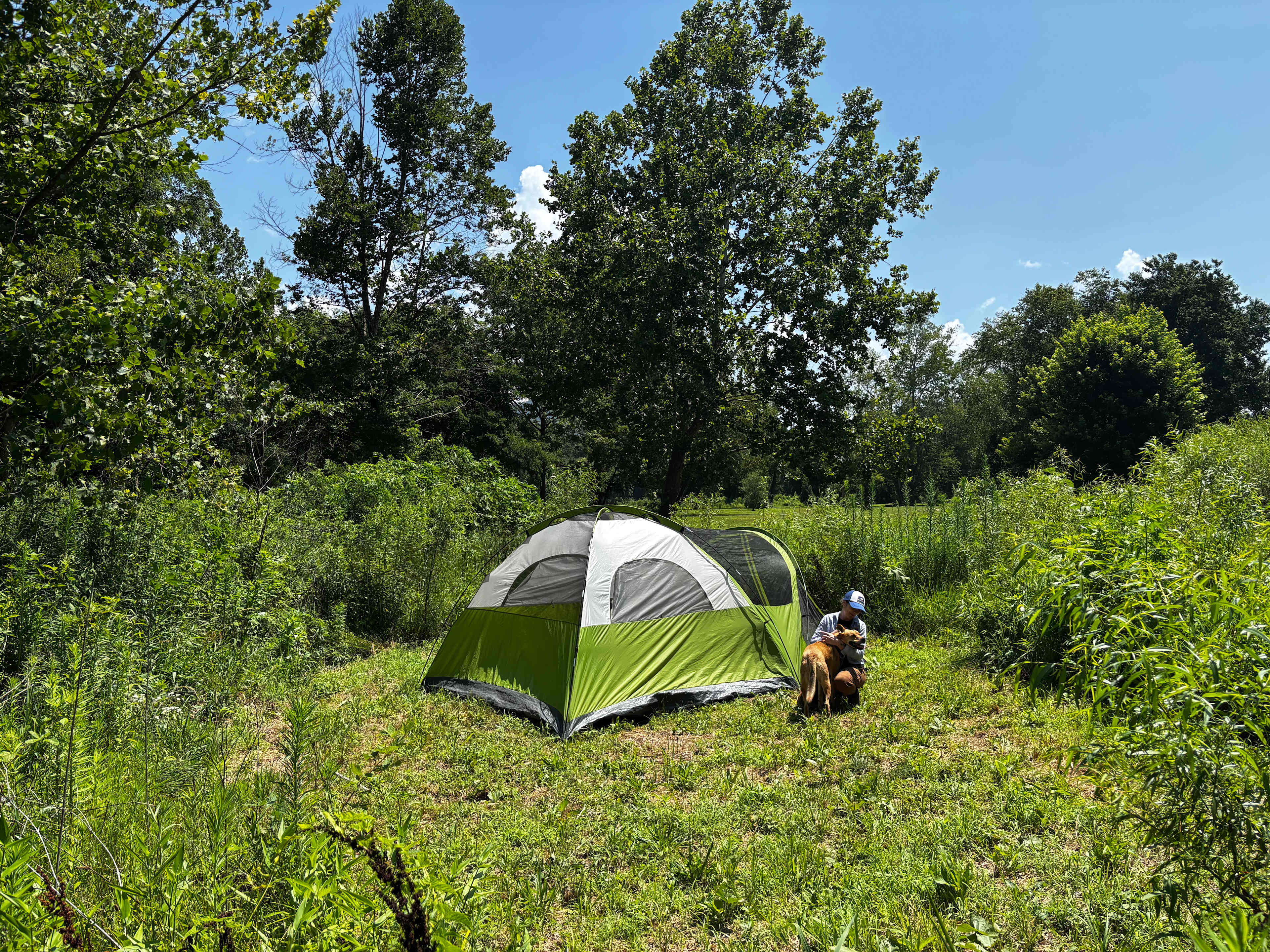Picture of the site
