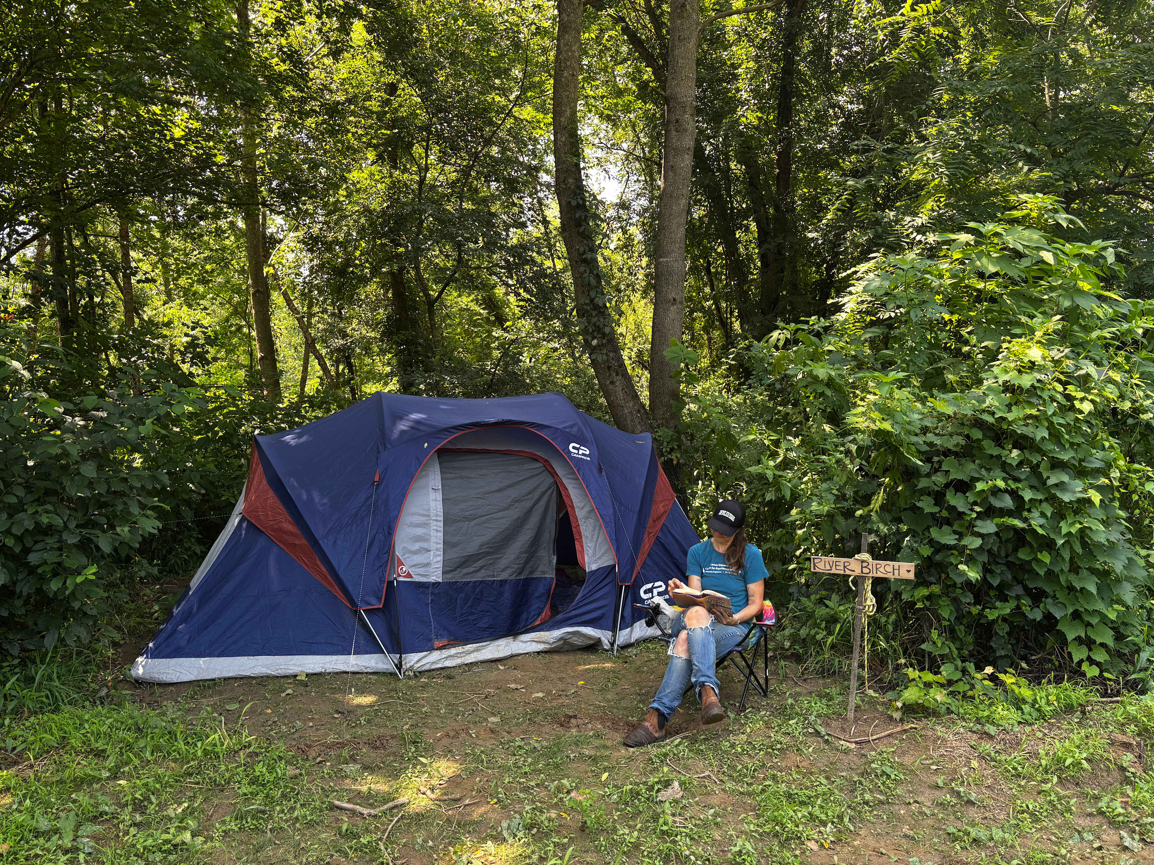 Picture of the site