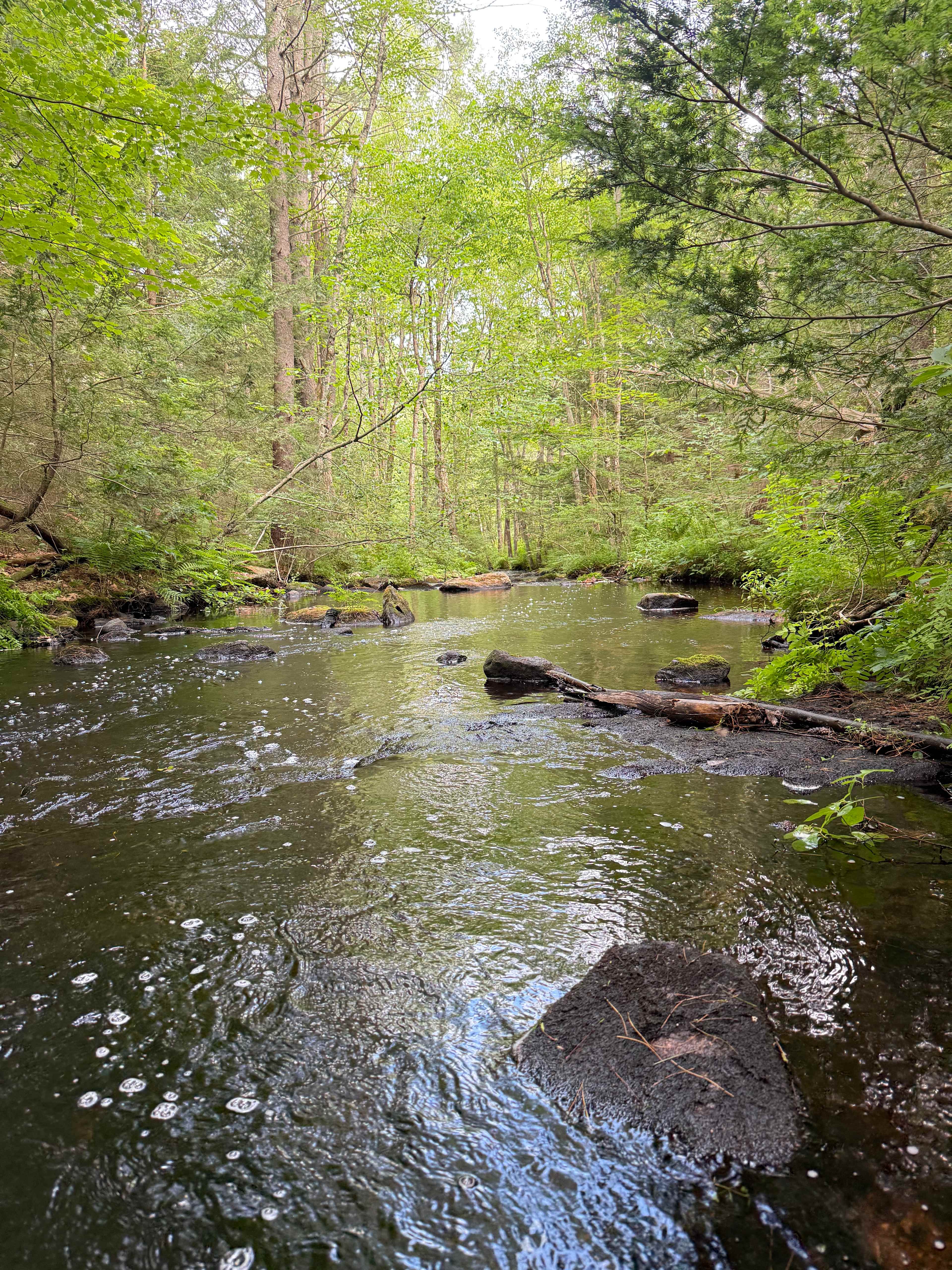 Boulder Brook