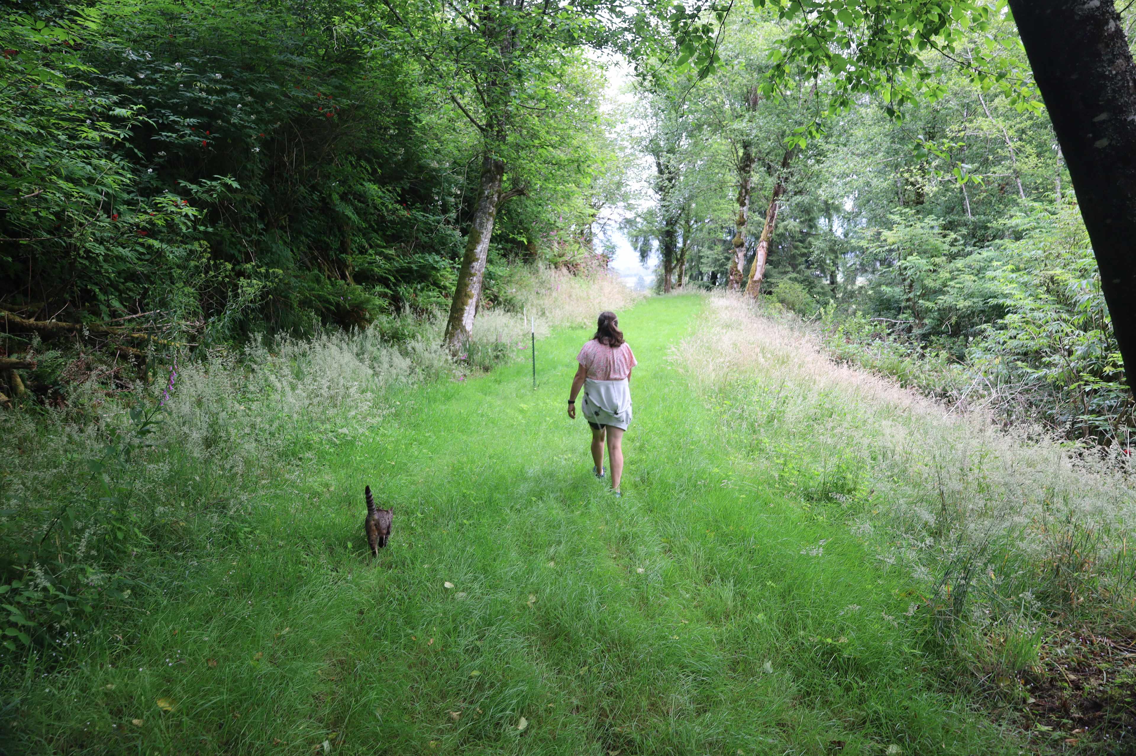 Nice walking roads on the property