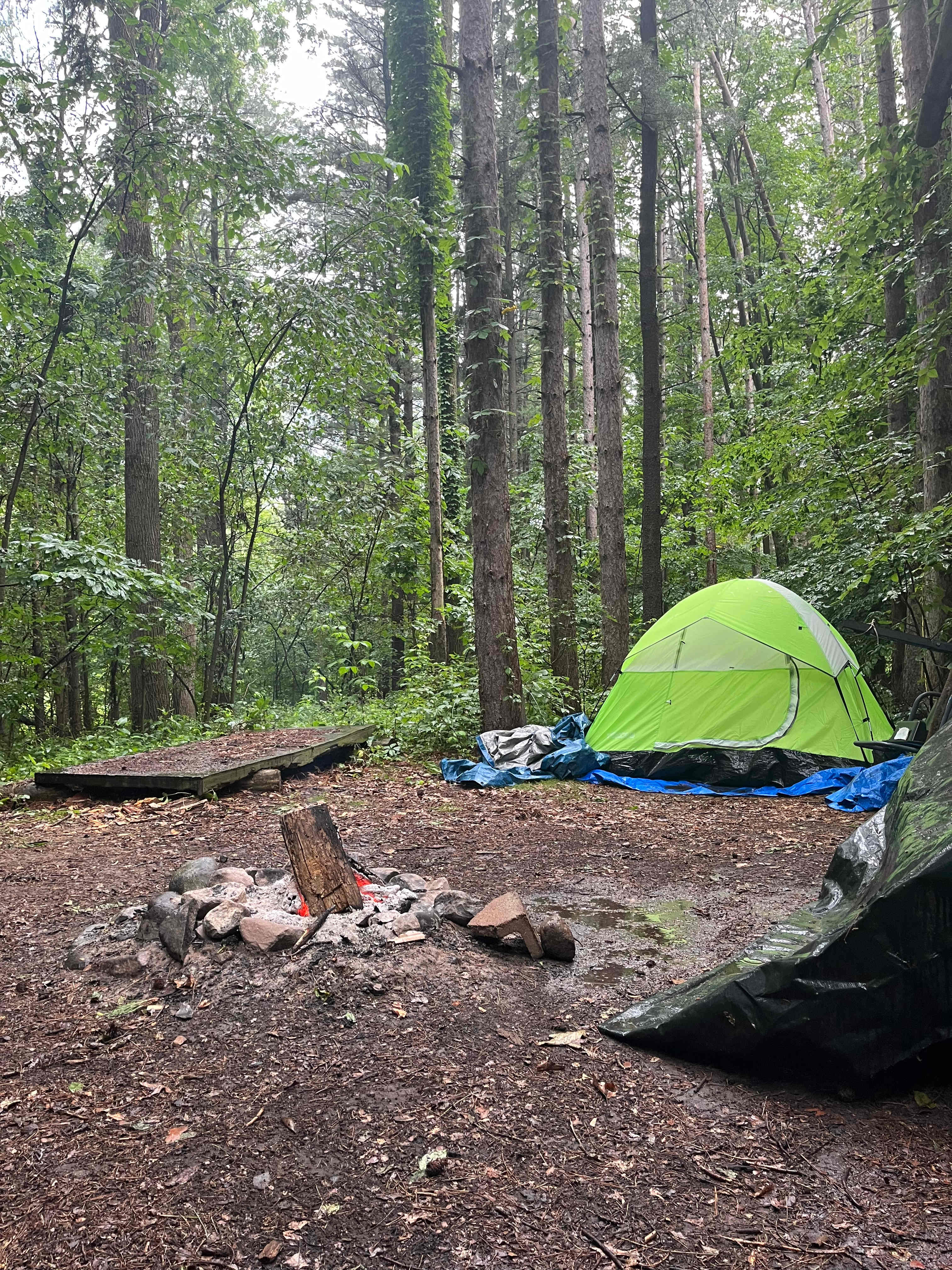 Woods Site #4