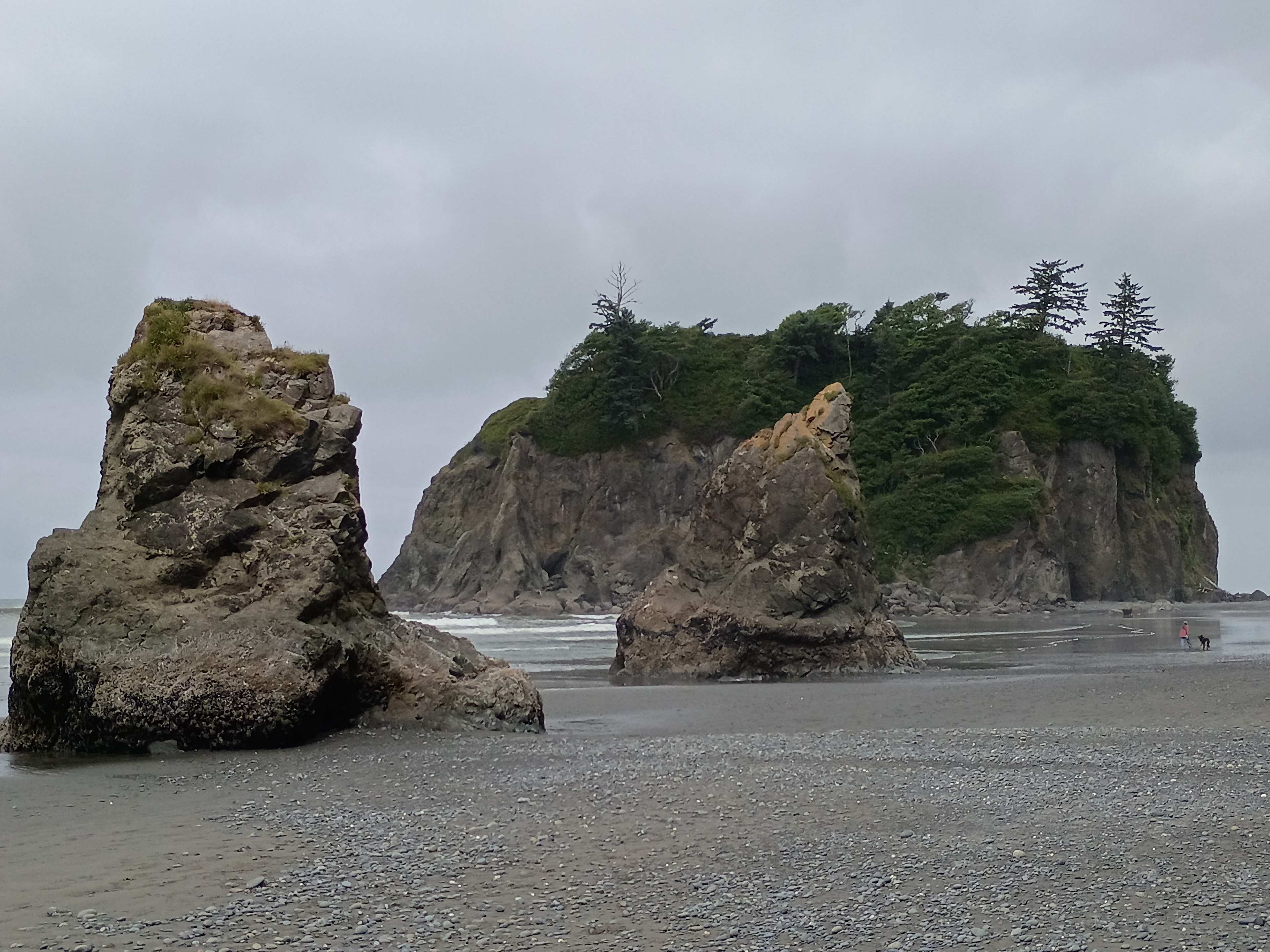 Shangri La Push