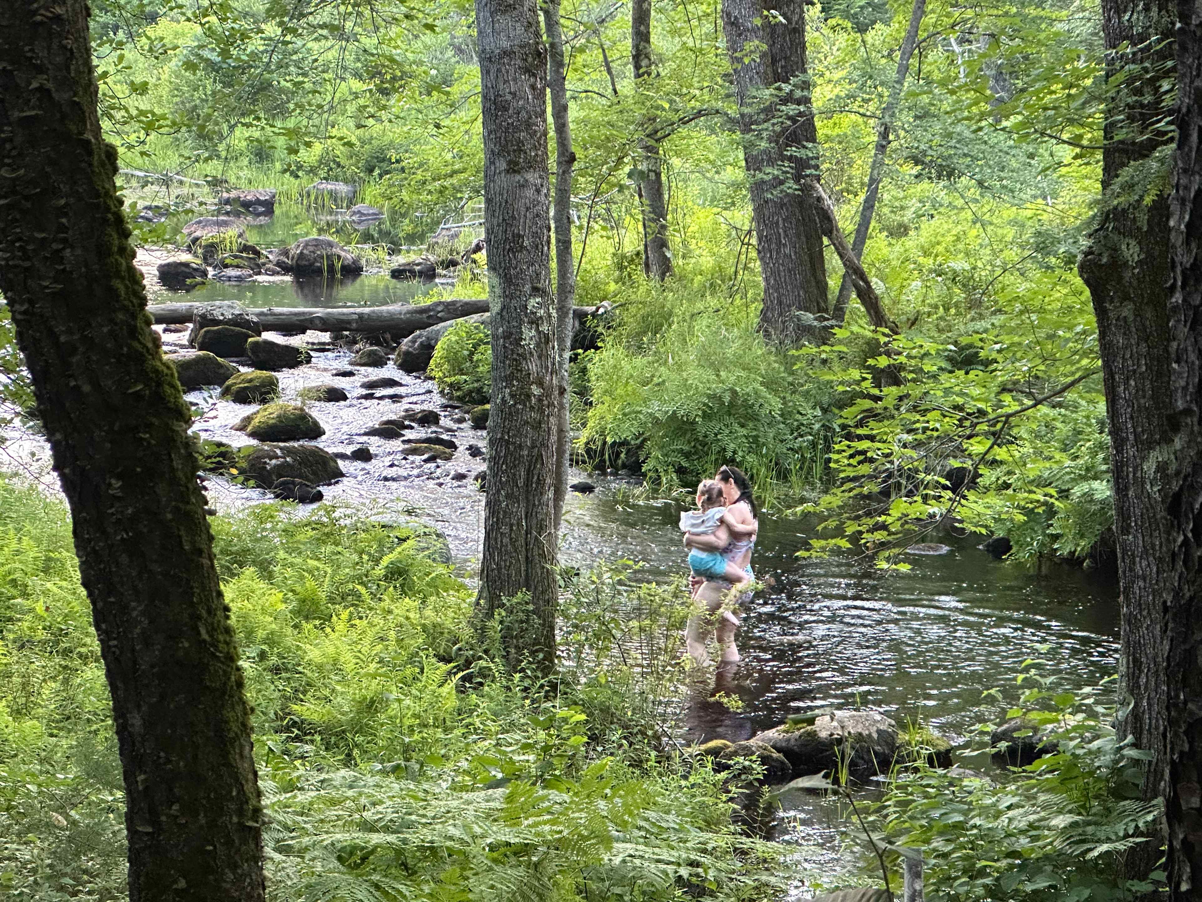 Crooked Run Farm Camping