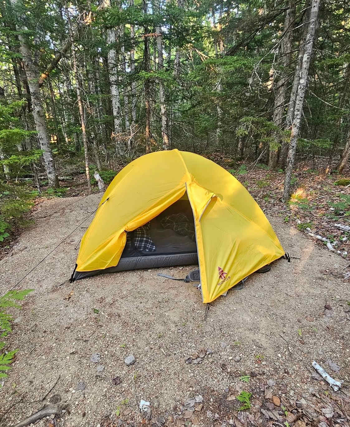 Medway Community Forest Campground