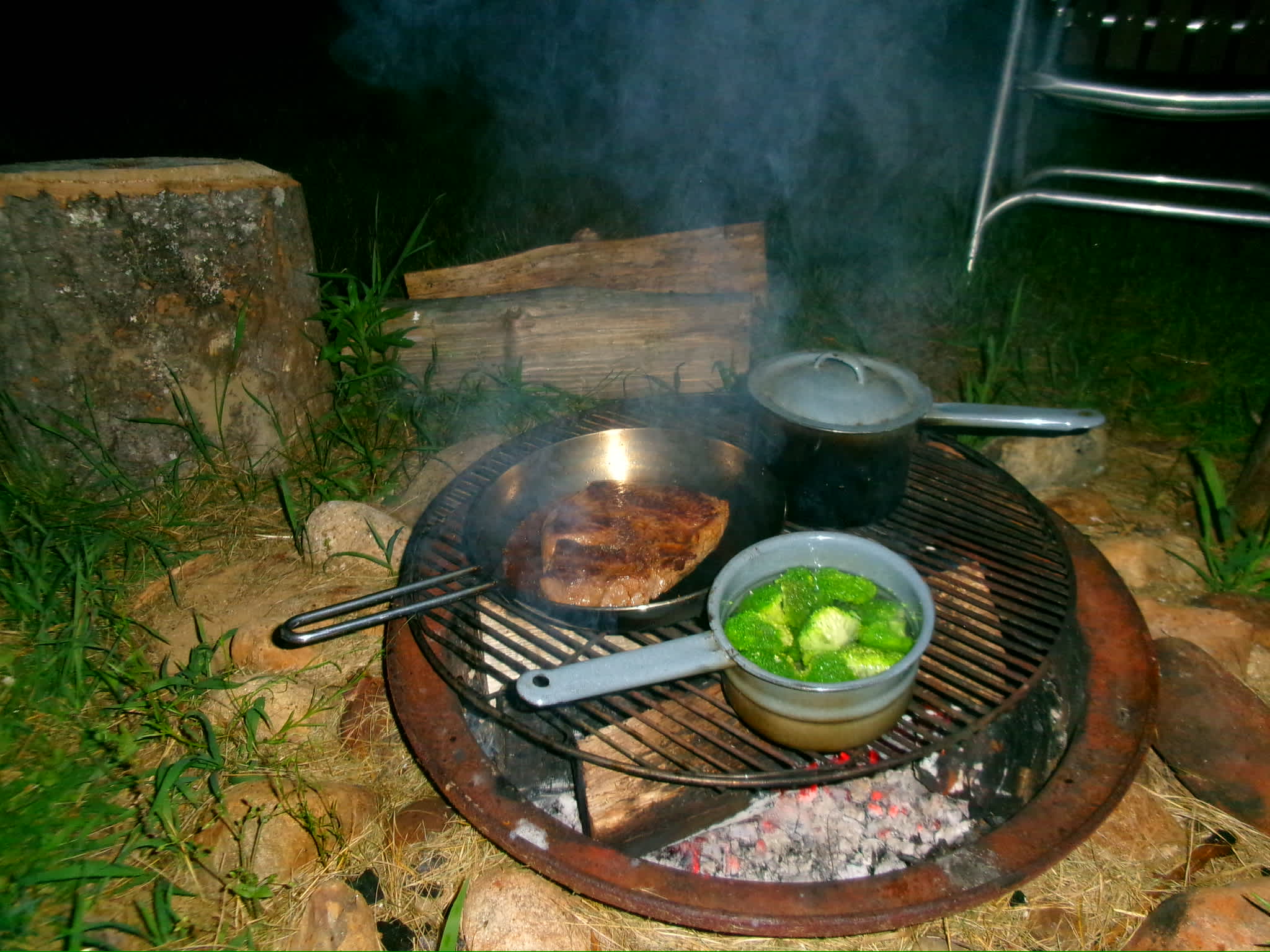 Camp Frogginton
