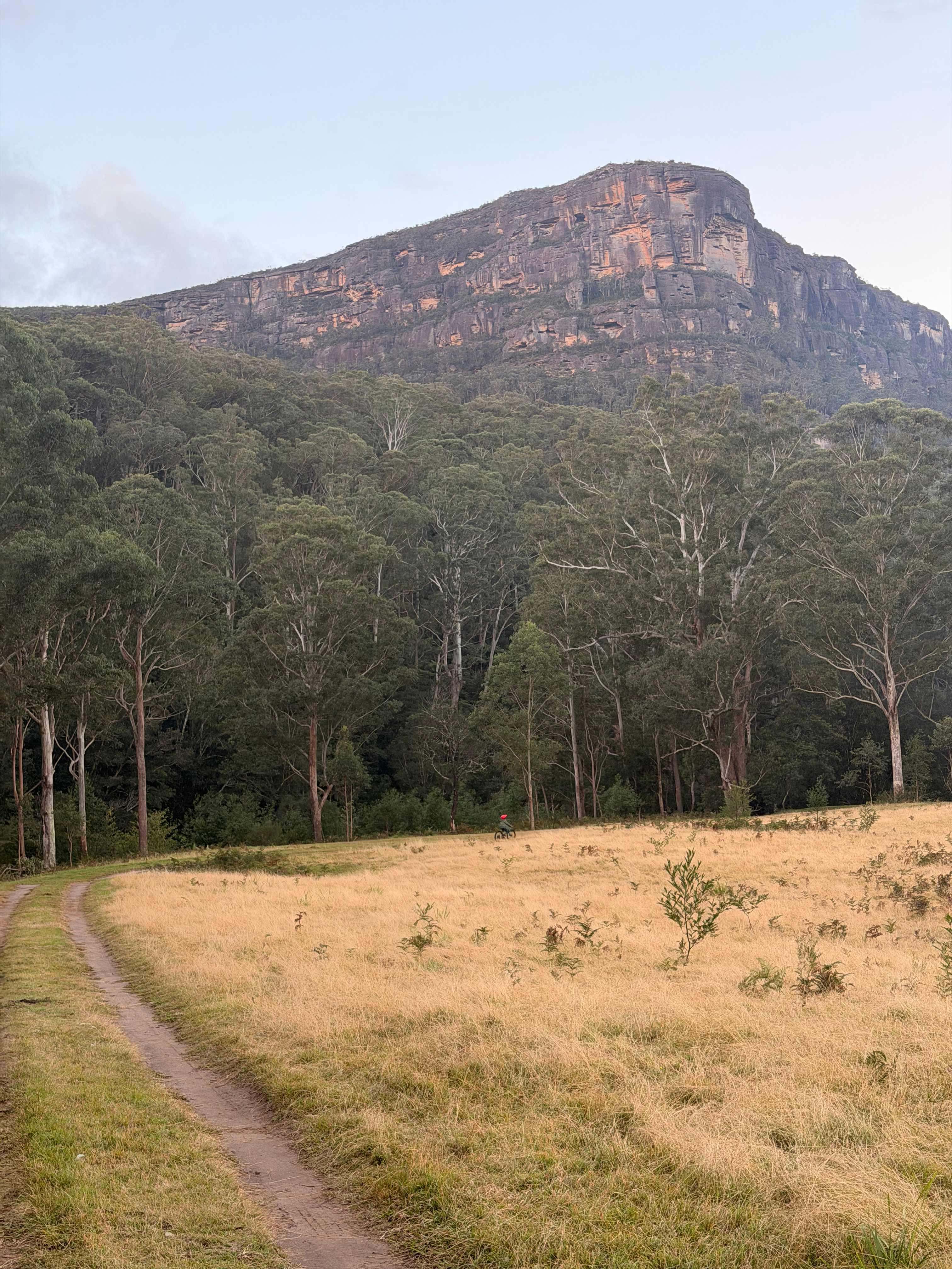 Yadboro Flat